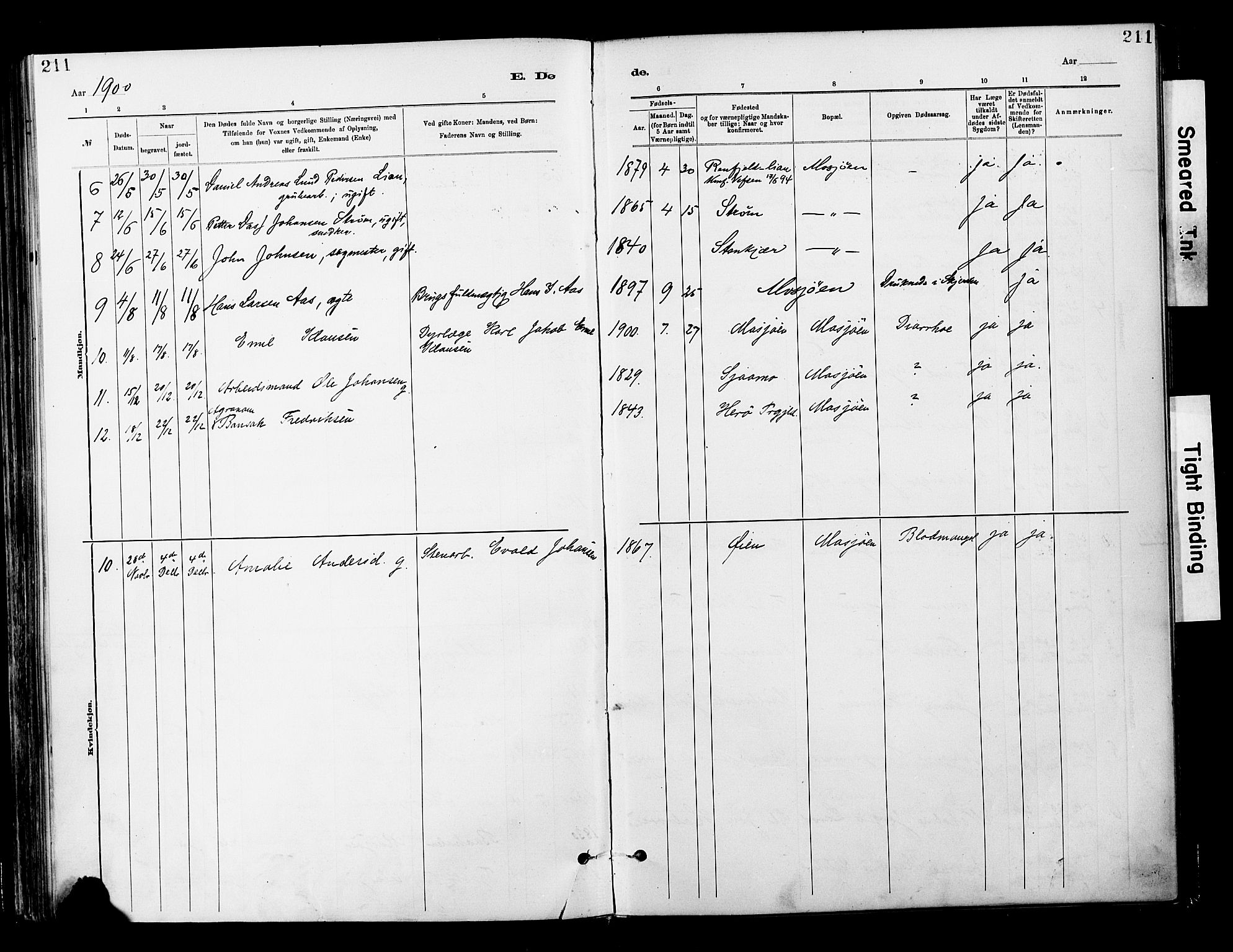 Ministerialprotokoller, klokkerbøker og fødselsregistre - Nordland, SAT/A-1459/820/L0296: Ministerialbok nr. 820A17, 1880-1903, s. 211