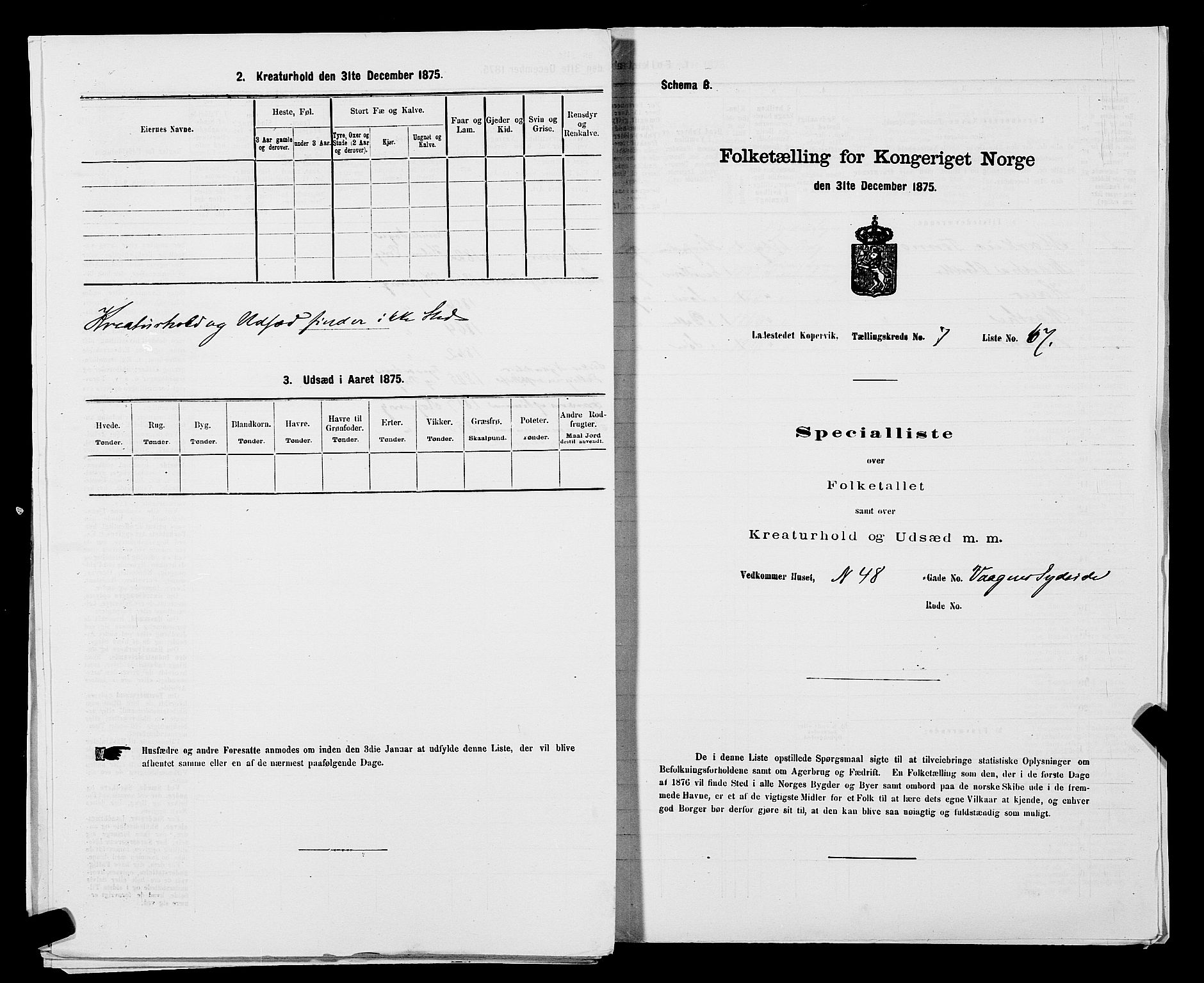 SAST, Folketelling 1875 for 1105B Avaldsnes prestegjeld, Kopervik ladested, 1875, s. 133