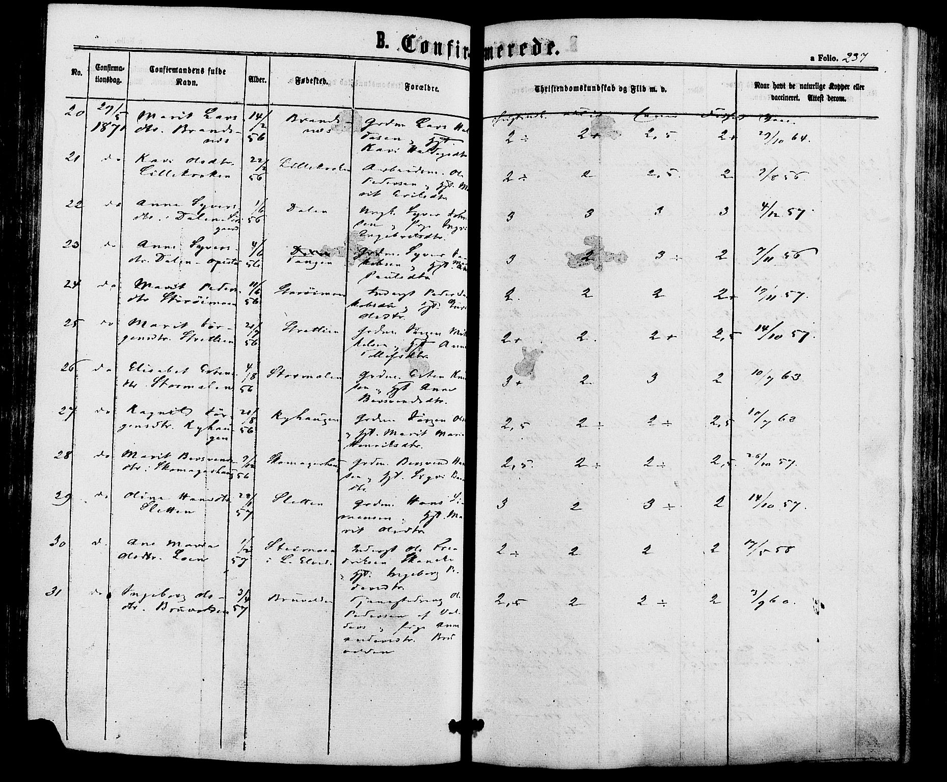 Alvdal prestekontor, AV/SAH-PREST-060/H/Ha/Haa/L0001: Ministerialbok nr. 1, 1863-1882, s. 237