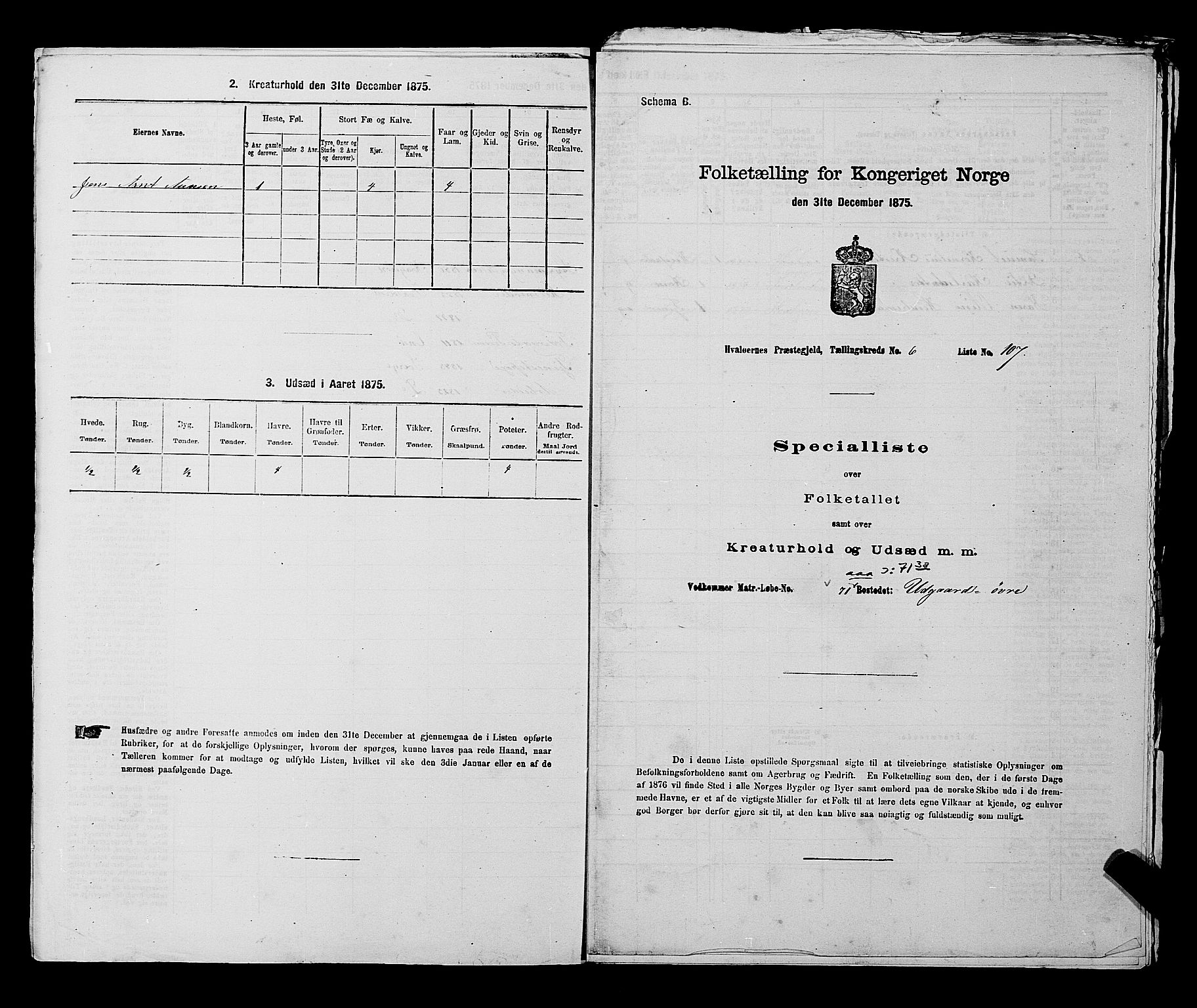 RA, Folketelling 1875 for 0111P Hvaler prestegjeld, 1875, s. 959