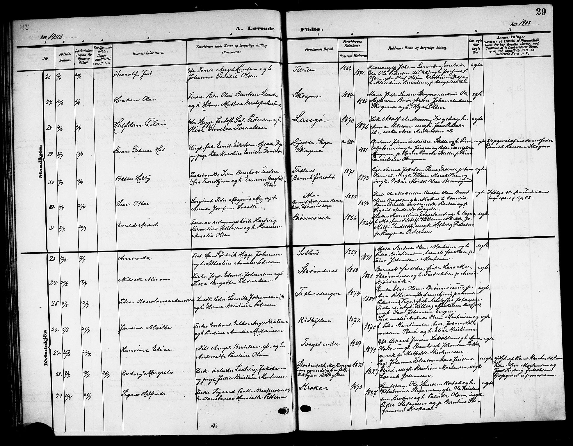 Ministerialprotokoller, klokkerbøker og fødselsregistre - Nordland, AV/SAT-A-1459/813/L0214: Klokkerbok nr. 813C06, 1904-1917, s. 29