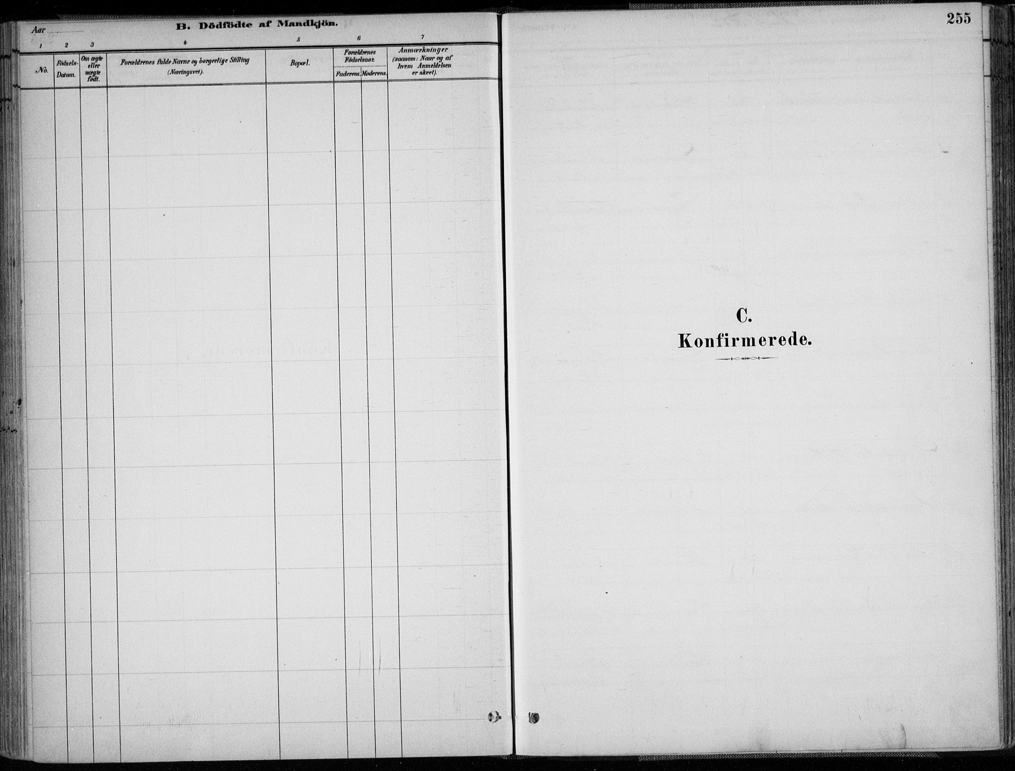 Grimstad sokneprestkontor, SAK/1111-0017/F/Fa/L0003: Ministerialbok nr. A 2, 1882-1912, s. 255
