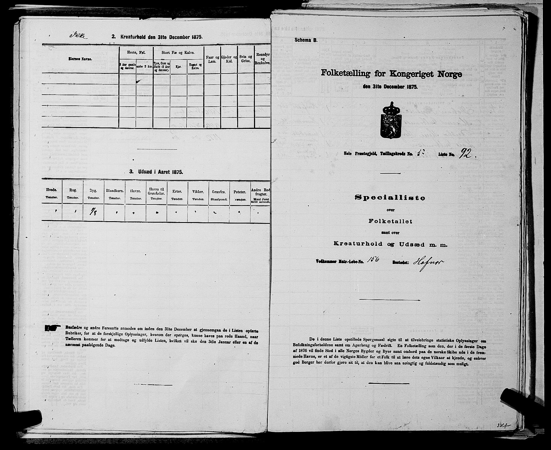 SAKO, Folketelling 1875 for 0612P Hole prestegjeld, 1875, s. 1048