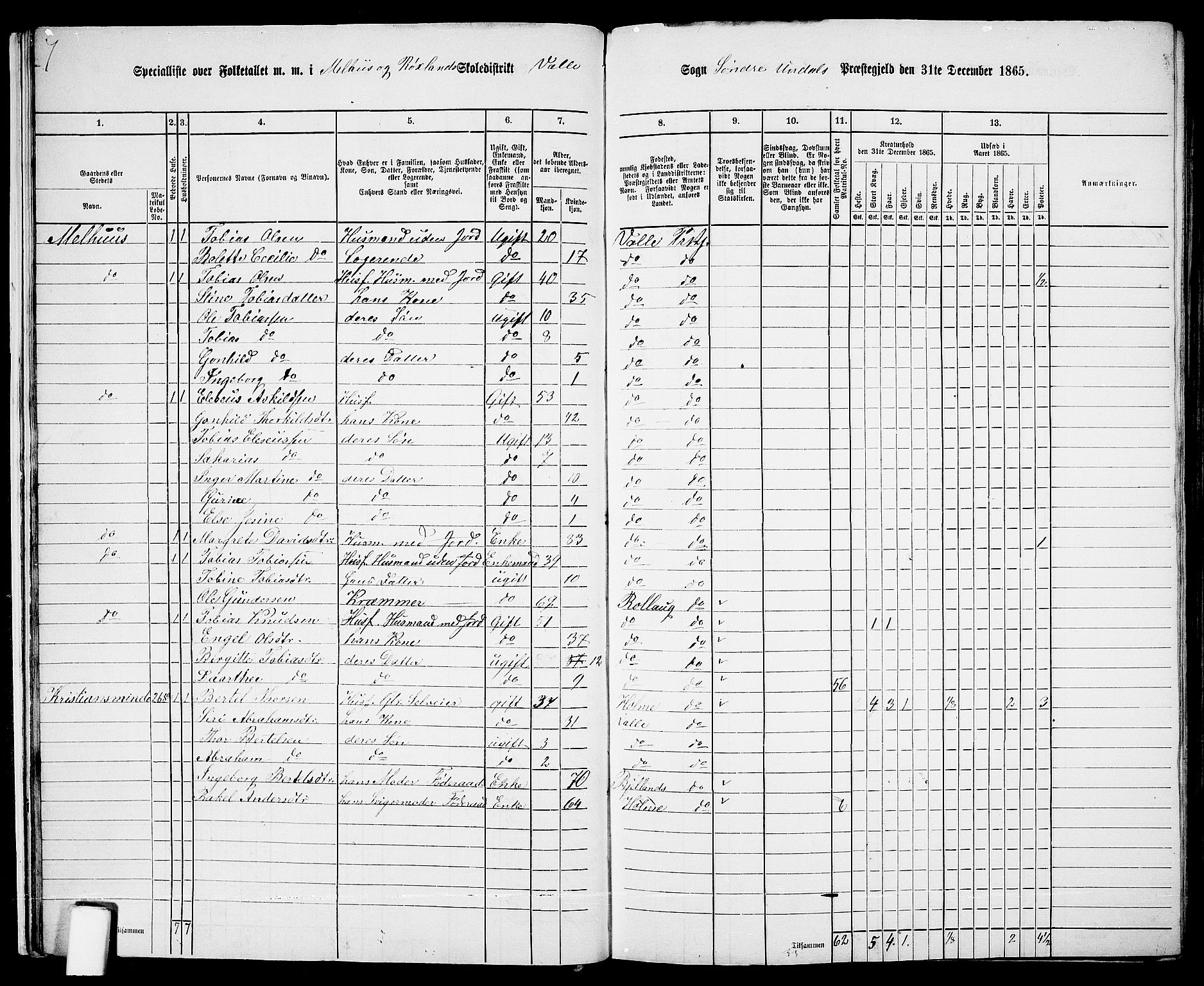 RA, Folketelling 1865 for 1029P Sør-Audnedal prestegjeld, 1865, s. 23