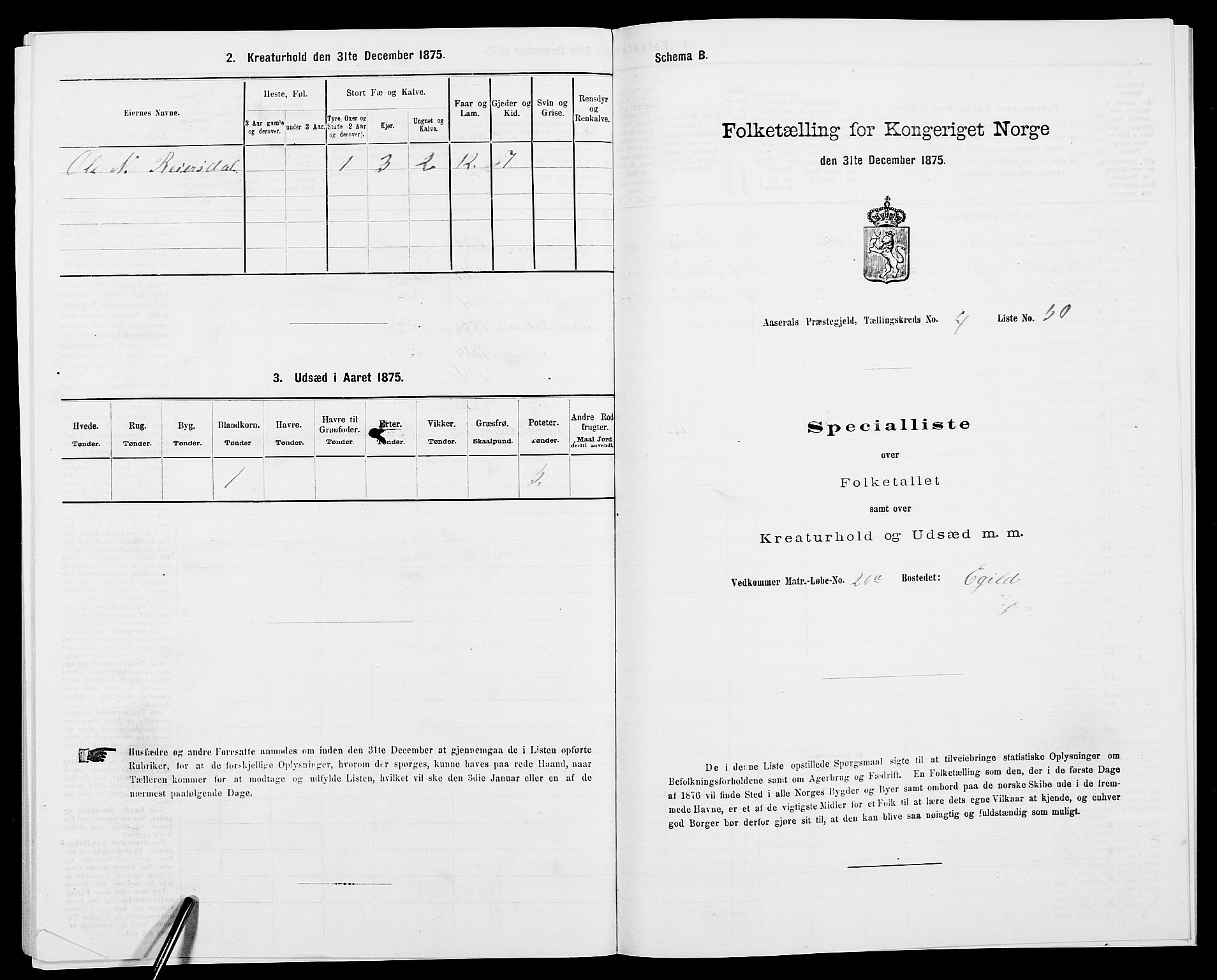 SAK, Folketelling 1875 for 0980P Åseral prestegjeld, 1875, s. 339