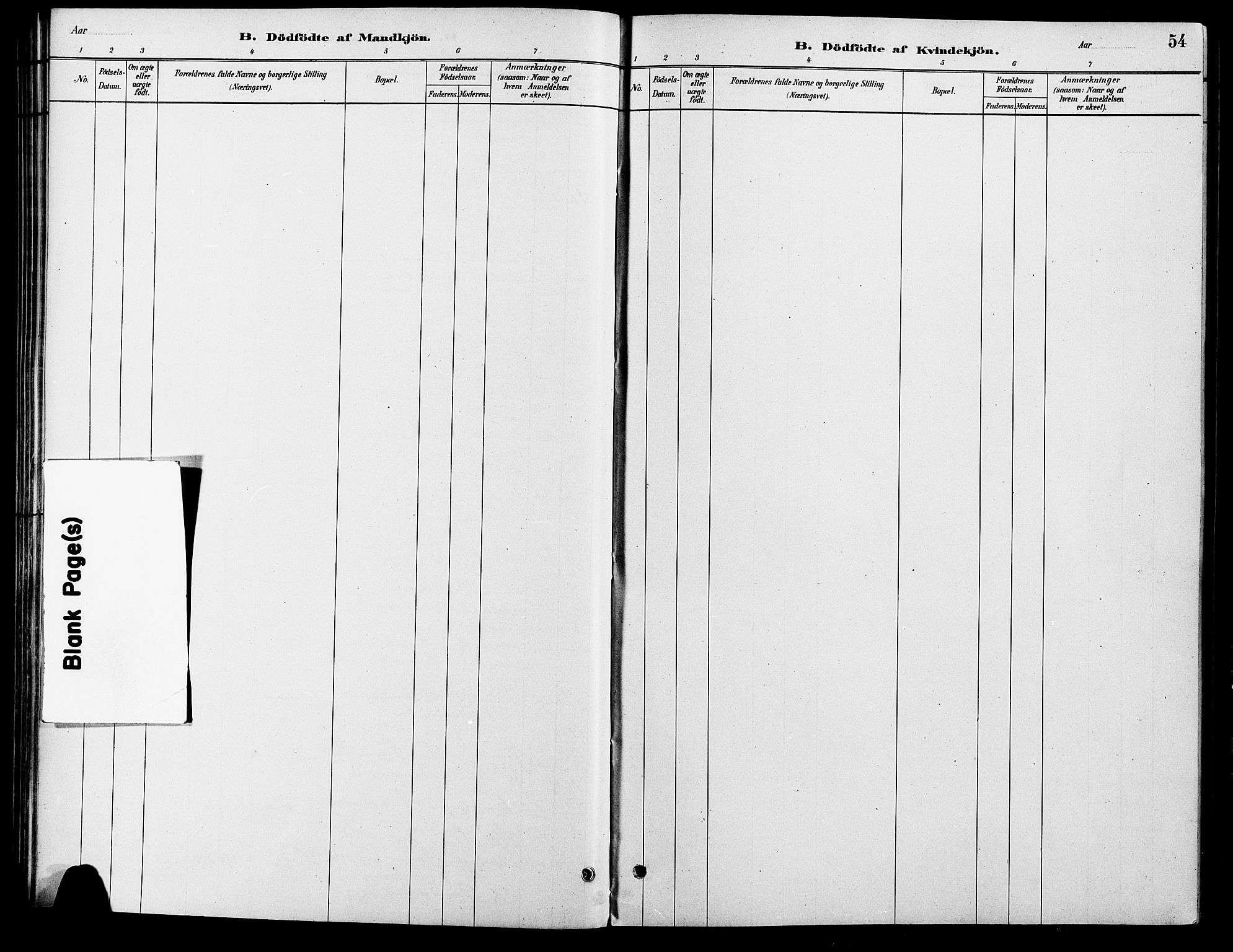 Vinger prestekontor, SAH/PREST-024/H/Ha/Haa/L0013: Ministerialbok nr. 13, 1881-1897, s. 54