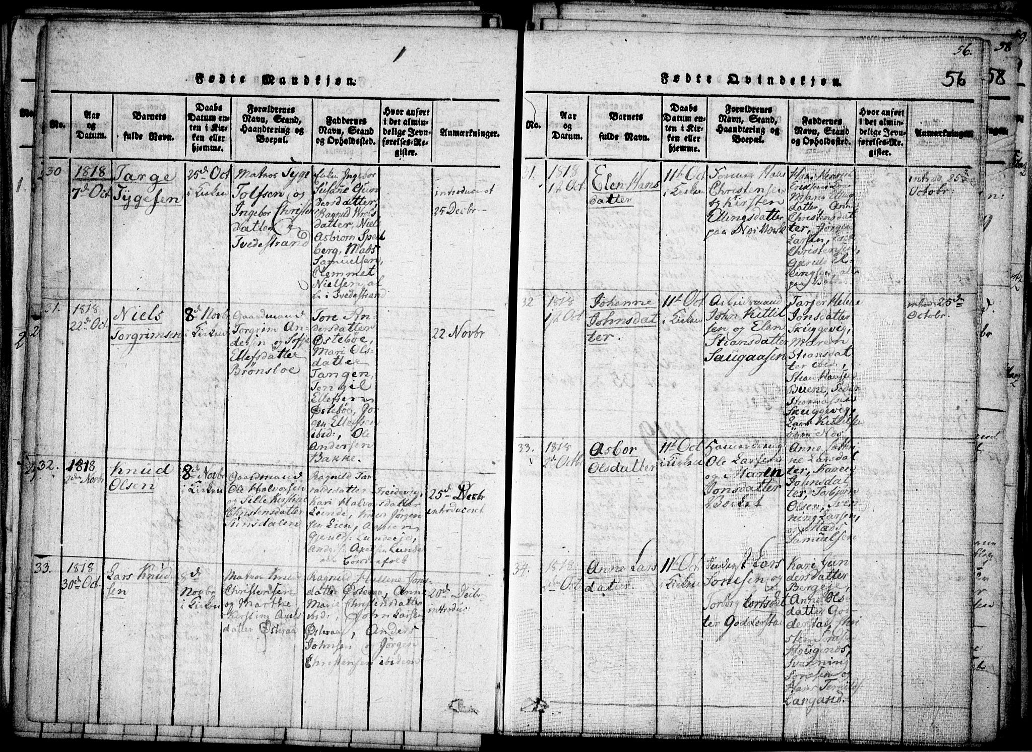 Holt sokneprestkontor, AV/SAK-1111-0021/F/Fa/L0005: Ministerialbok nr. A 5, 1813-1821, s. 56