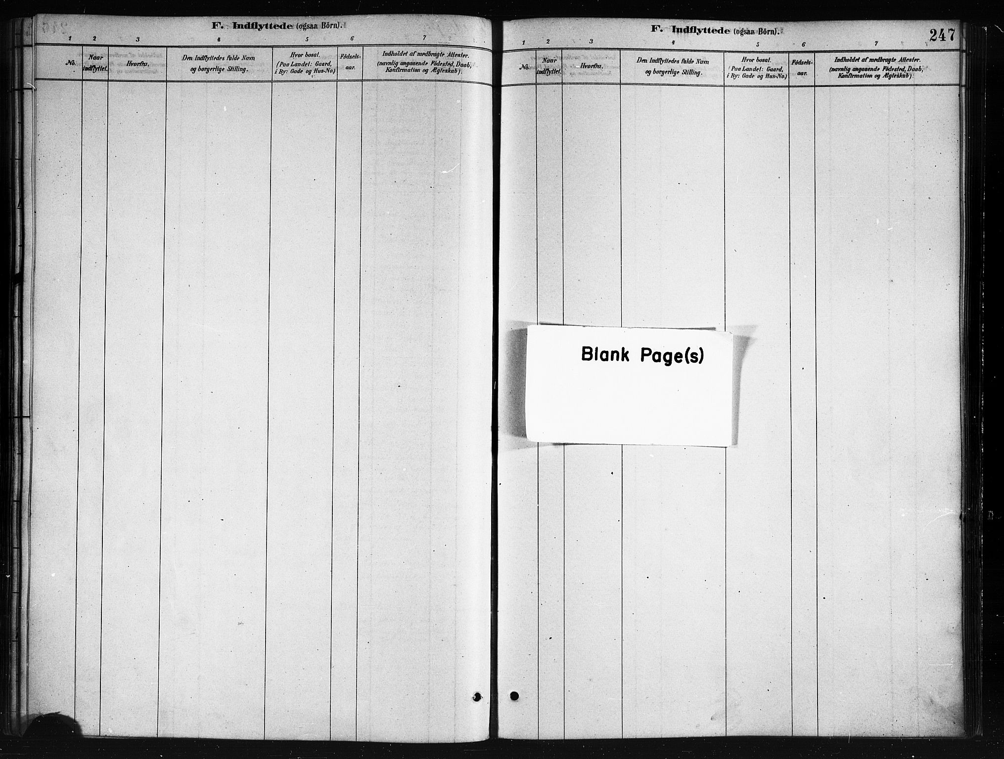 Ministerialprotokoller, klokkerbøker og fødselsregistre - Nordland, AV/SAT-A-1459/893/L1335: Ministerialbok nr. 893A08 /1, 1878-1884, s. 247