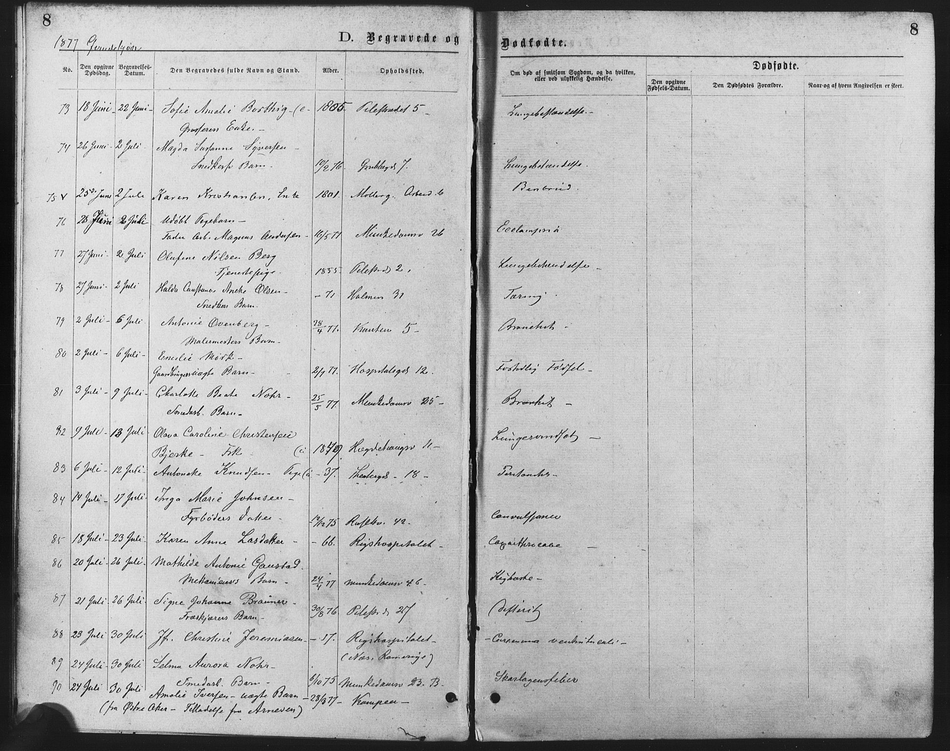 Trefoldighet prestekontor Kirkebøker, AV/SAO-A-10882/F/Fd/L0002: Ministerialbok nr. IV 2, 1877-1885, s. 8