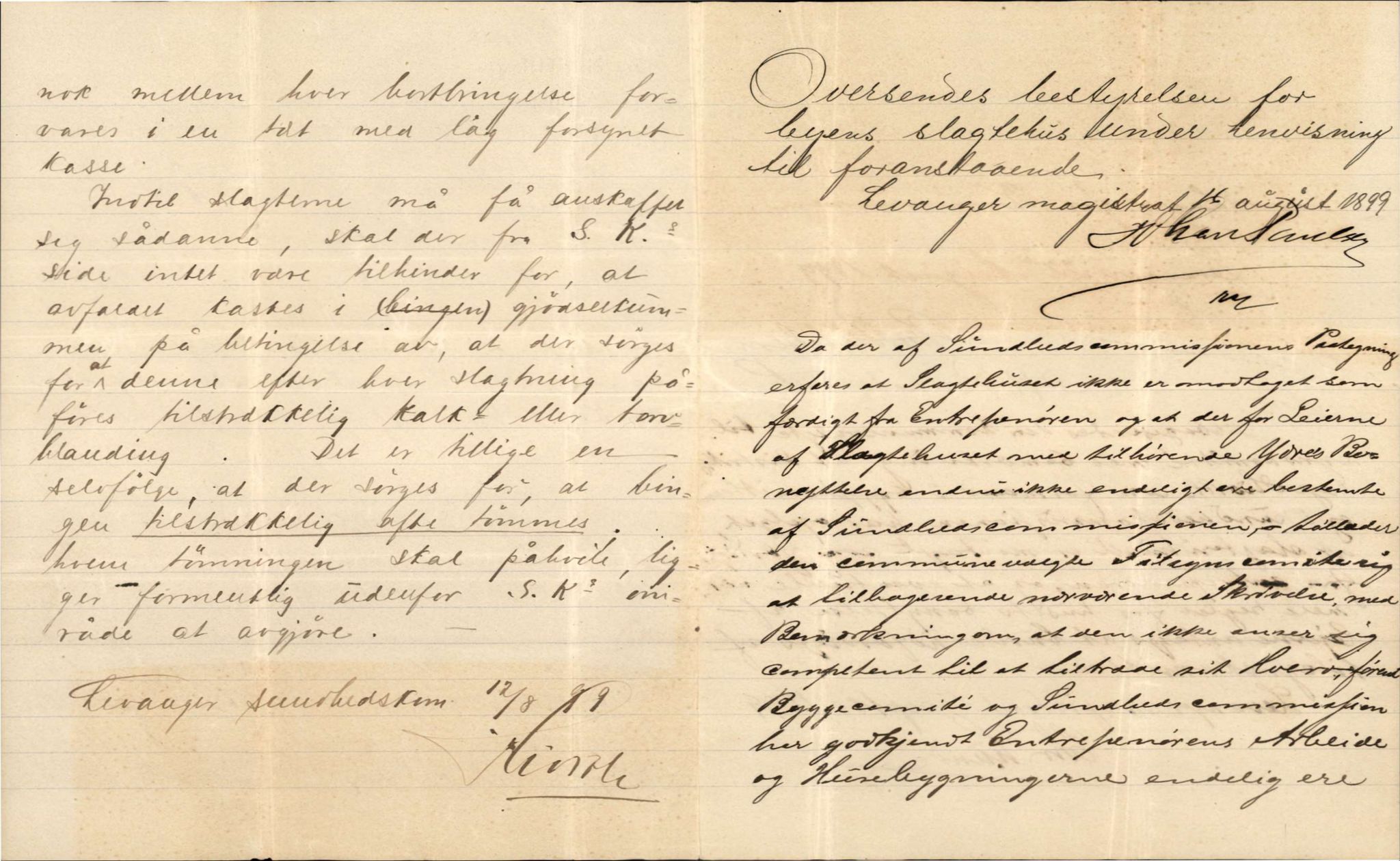 Bård Toldnes samling - lokalia fra Levanger, TIKA/PA-1549/F/L0010: Distriktslægen i Levanger - tilsyn med byens slagtehus, 1899