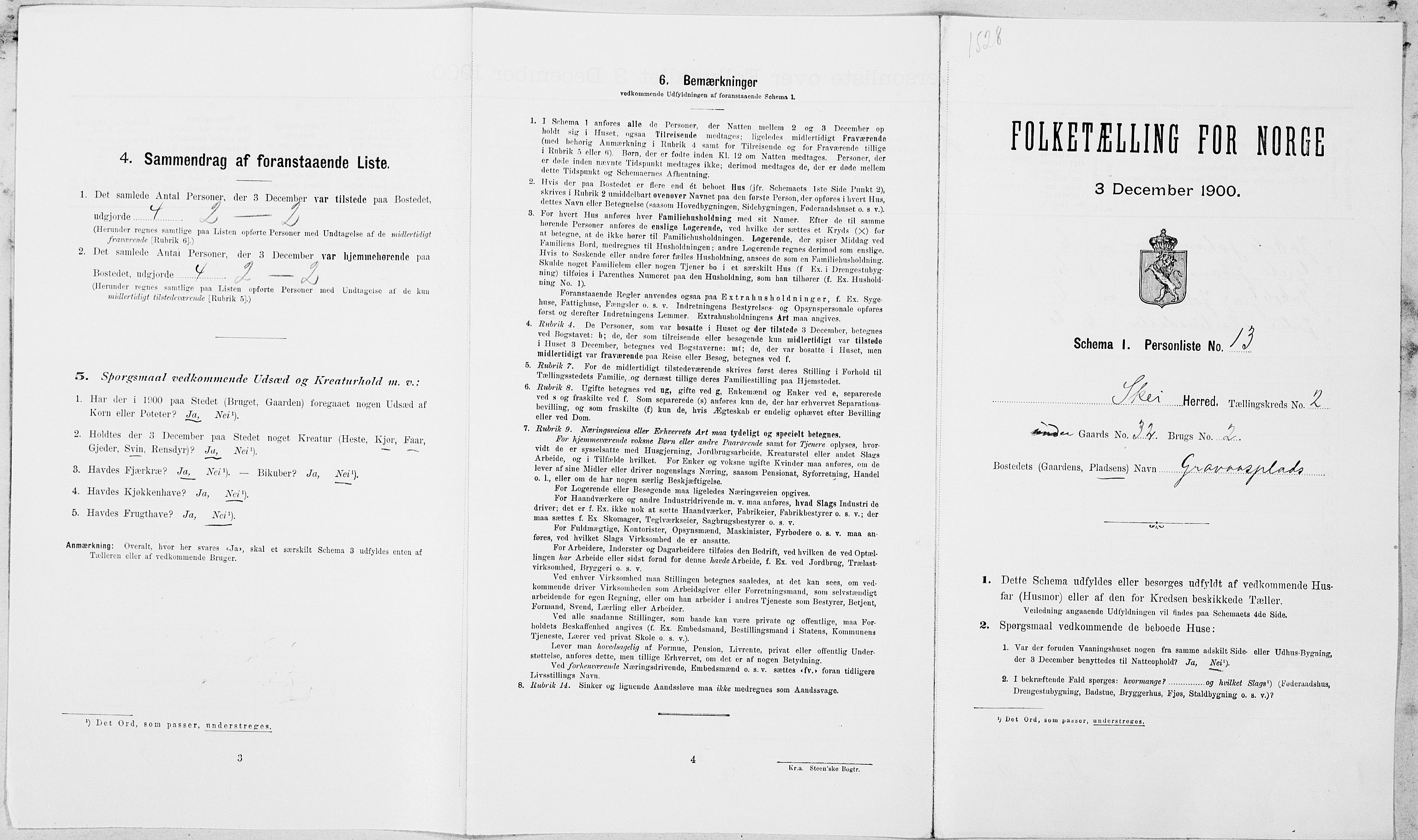 SAT, Folketelling 1900 for 1732 Skei herred, 1900, s. 202