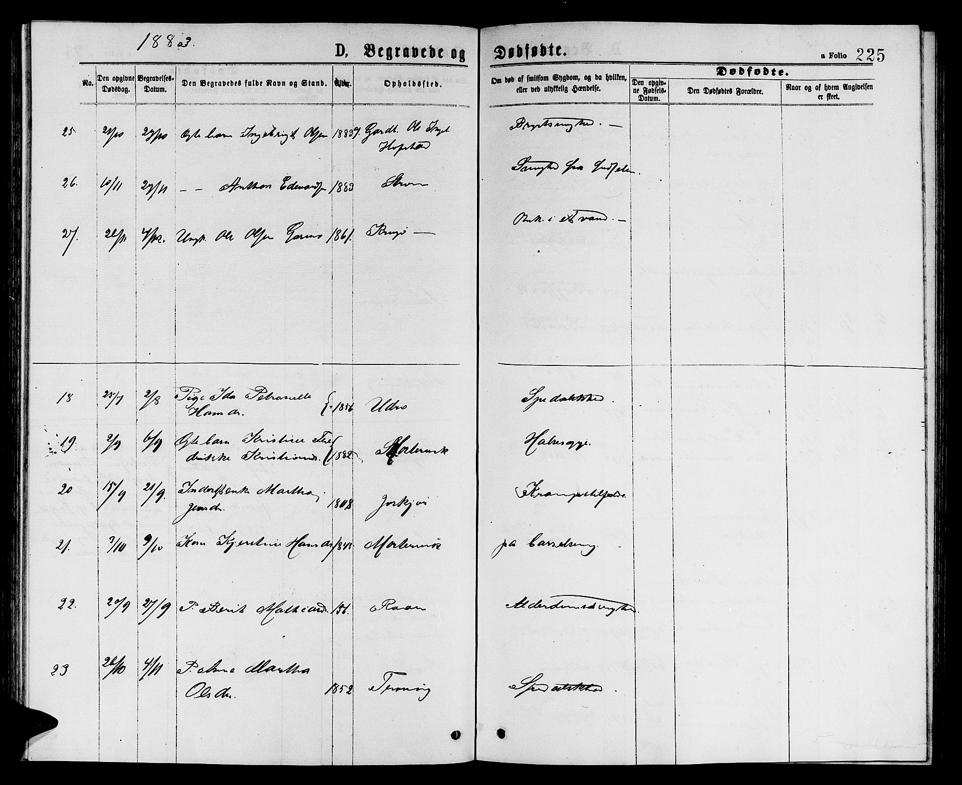 Ministerialprotokoller, klokkerbøker og fødselsregistre - Sør-Trøndelag, SAT/A-1456/657/L0715: Klokkerbok nr. 657C02, 1873-1888, s. 225