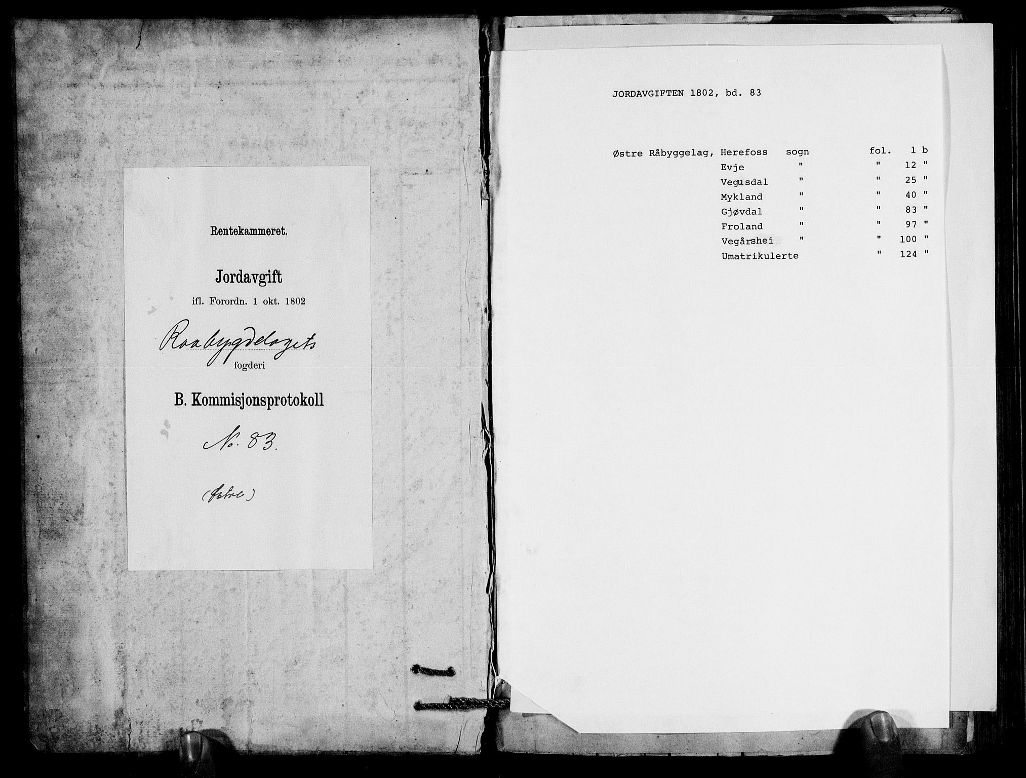 Rentekammeret inntil 1814, Realistisk ordnet avdeling, RA/EA-4070/N/Ne/Nea/L0083: Råbyggelag fogderi. Kommisjonsprotokoll for Østre Råbyggelagets sorenskriveri, 1803, s. 1