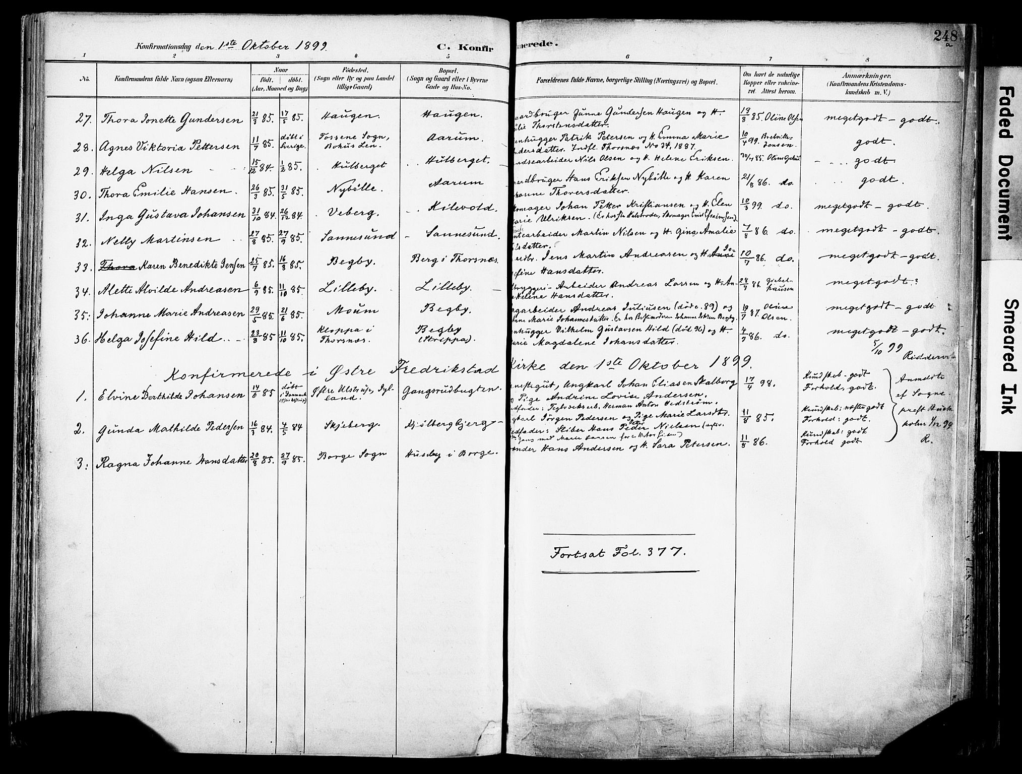 Borge prestekontor Kirkebøker, AV/SAO-A-10903/F/Fa/L0008: Ministerialbok nr. I 8B, 1887-1902, s. 248