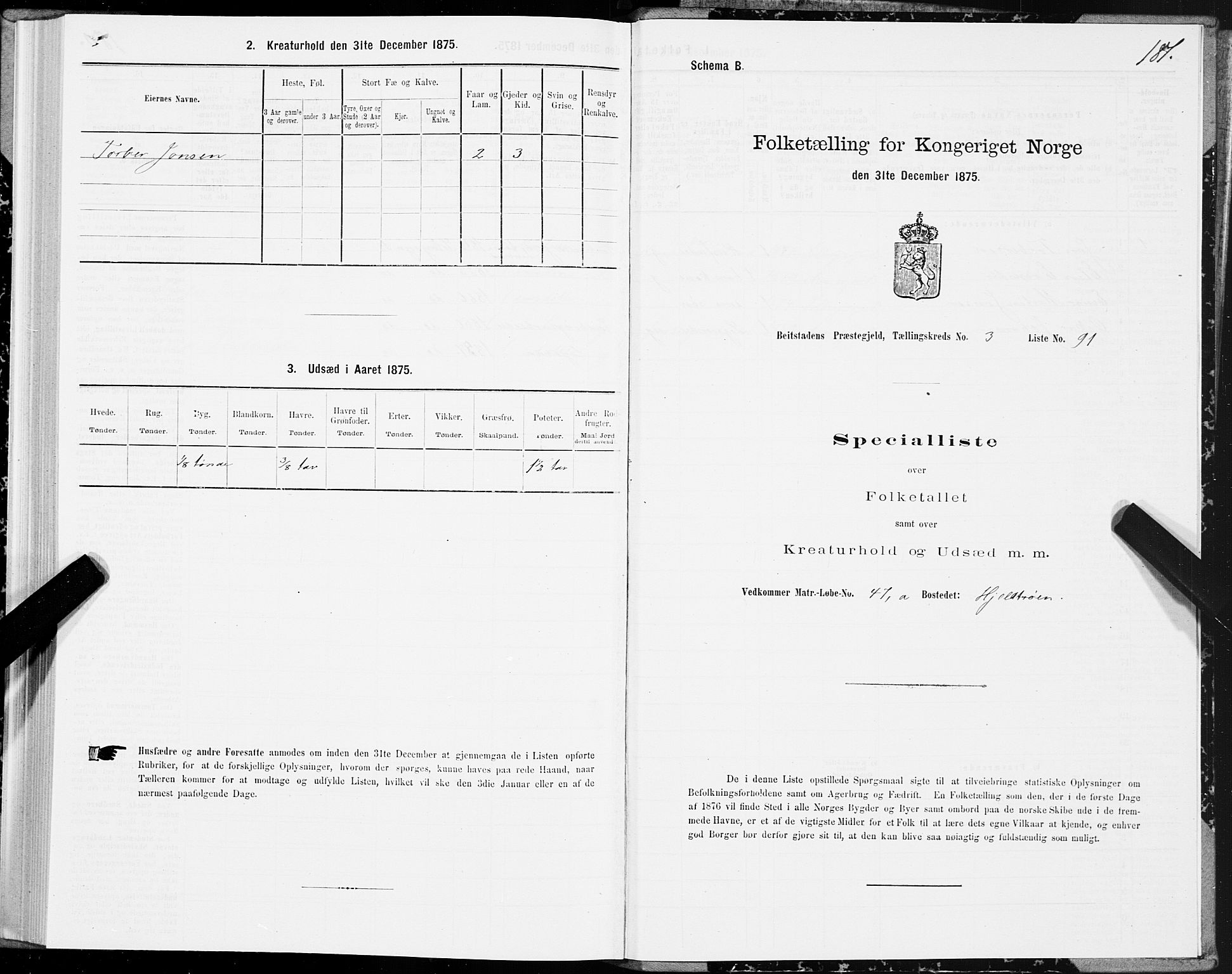 SAT, Folketelling 1875 for 1727P Beitstad prestegjeld, 1875, s. 2181