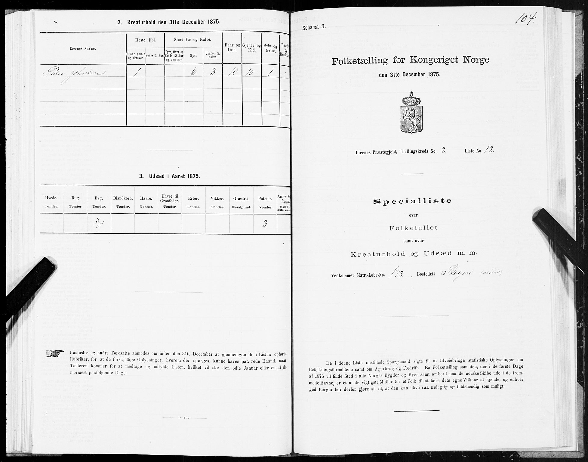 SAT, Folketelling 1875 for 1737P Lierne prestegjeld, 1875, s. 1104