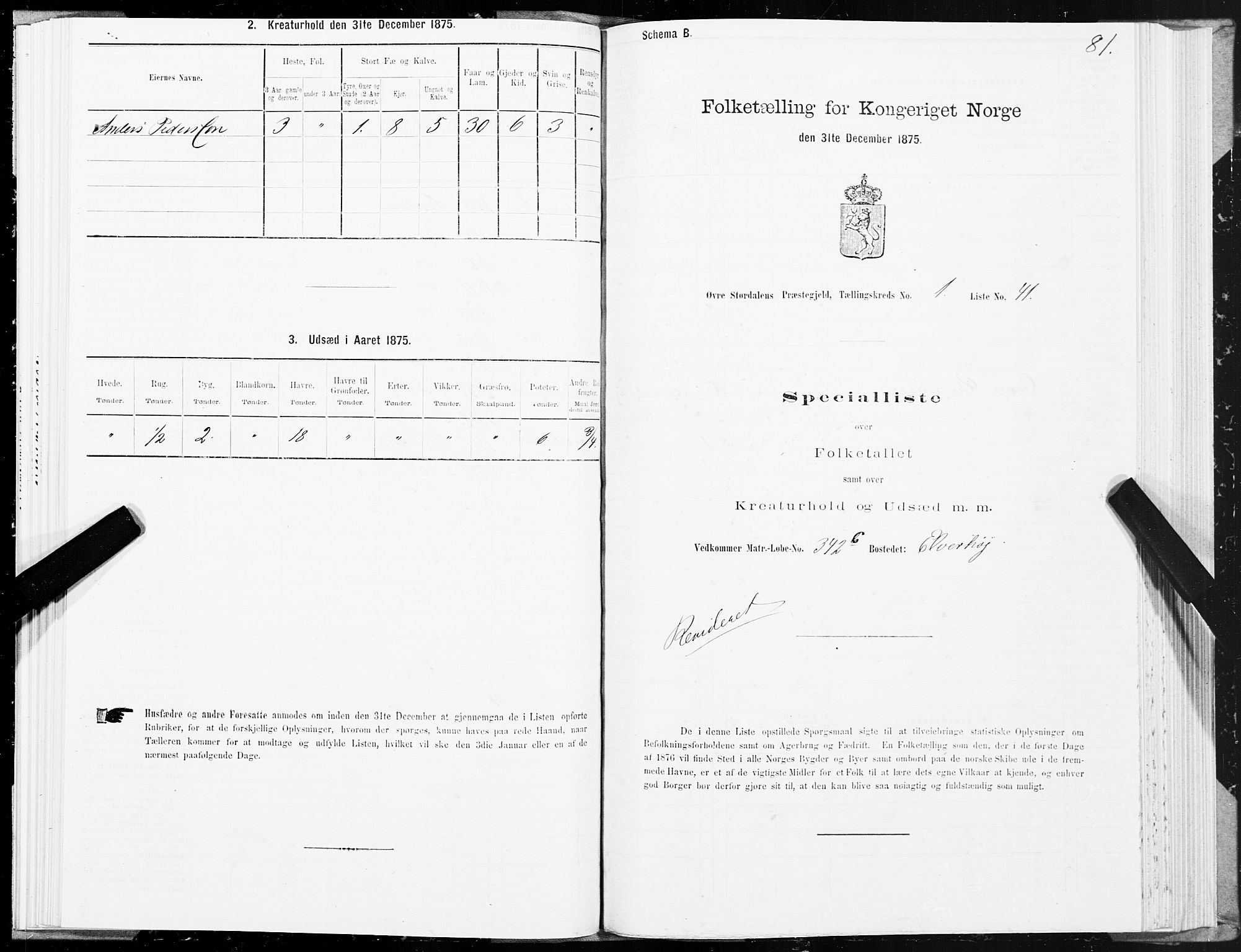 SAT, Folketelling 1875 for 1711P Øvre Stjørdal prestegjeld, 1875, s. 1081