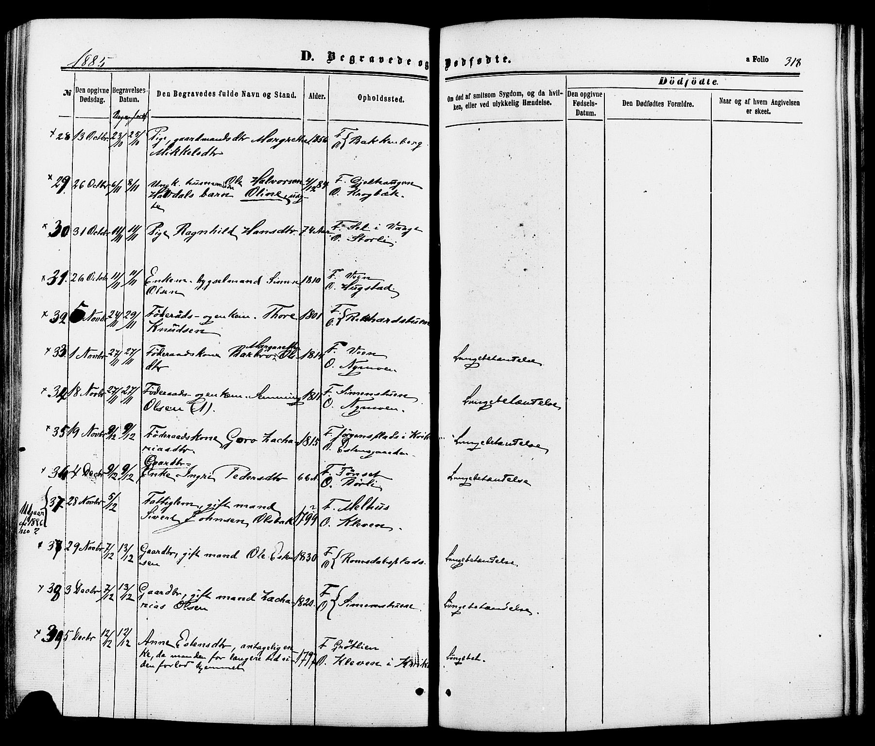Kvikne prestekontor, AV/SAH-PREST-064/H/Ha/Haa/L0006: Ministerialbok nr. 6, 1863-1886, s. 318