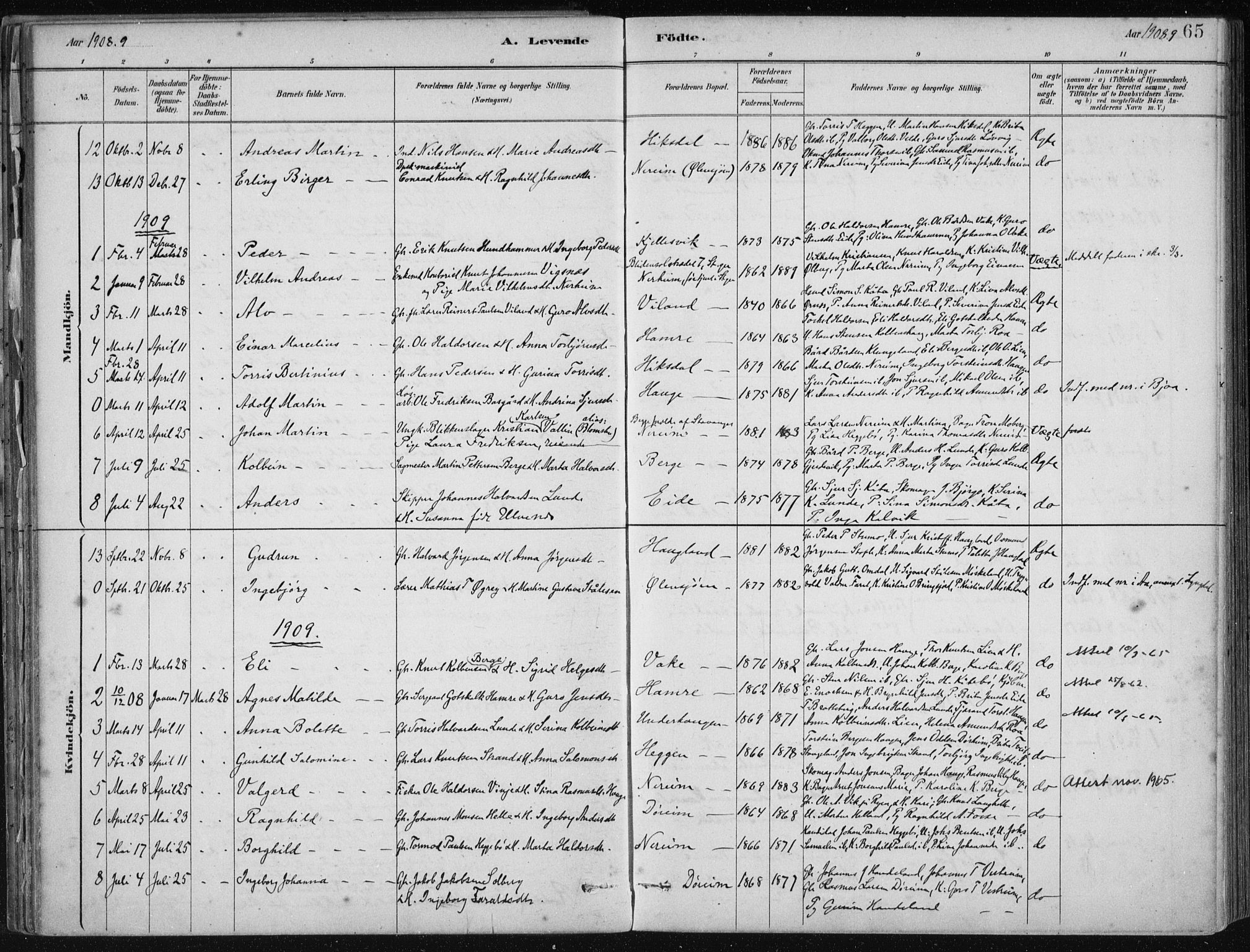 Fjelberg sokneprestembete, AV/SAB-A-75201/H/Haa: Ministerialbok nr. D 1, 1879-1918, s. 65
