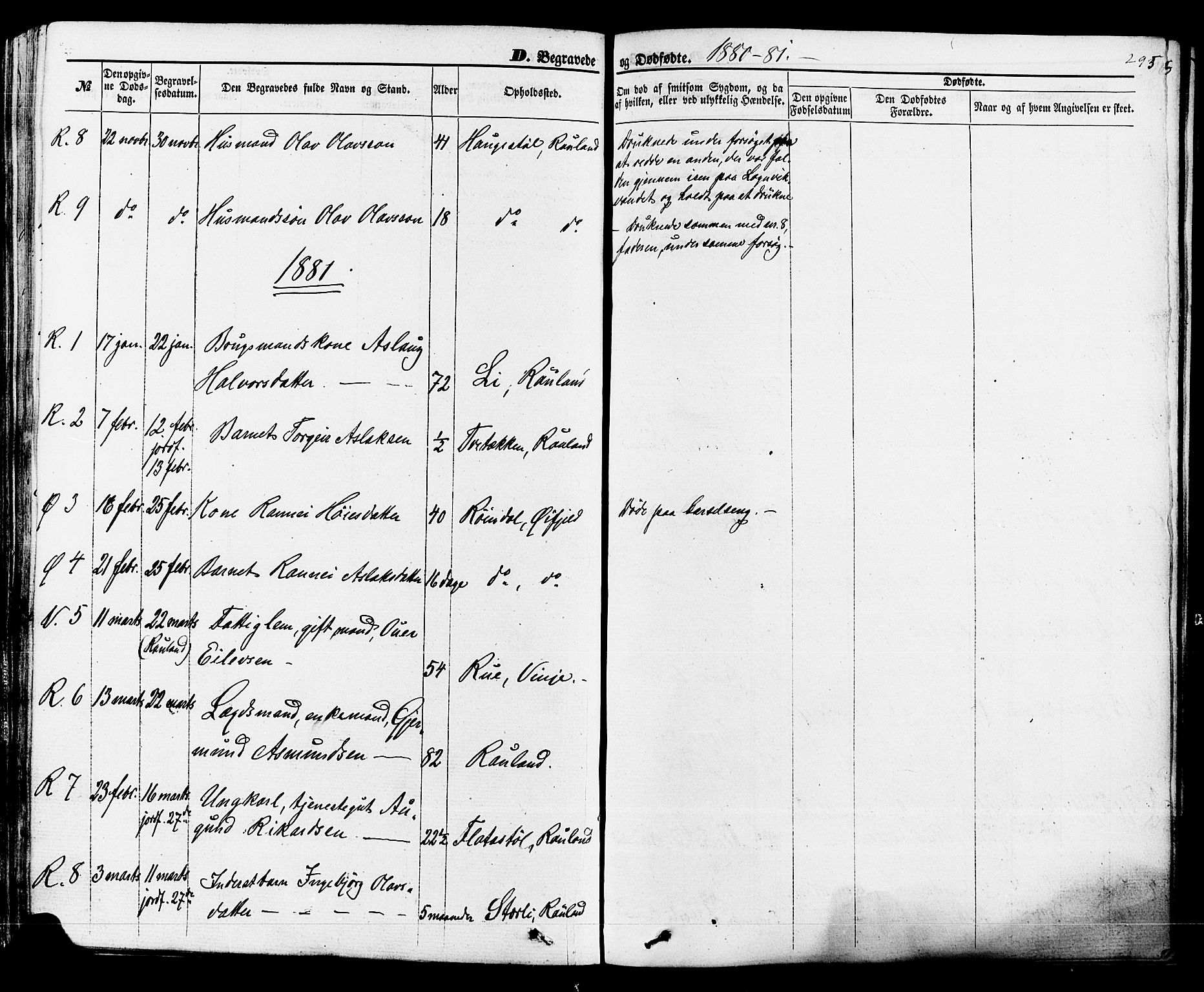 Rauland kirkebøker, AV/SAKO-A-292/F/Fa/L0003: Ministerialbok nr. I 3, 1859-1886, s. 295