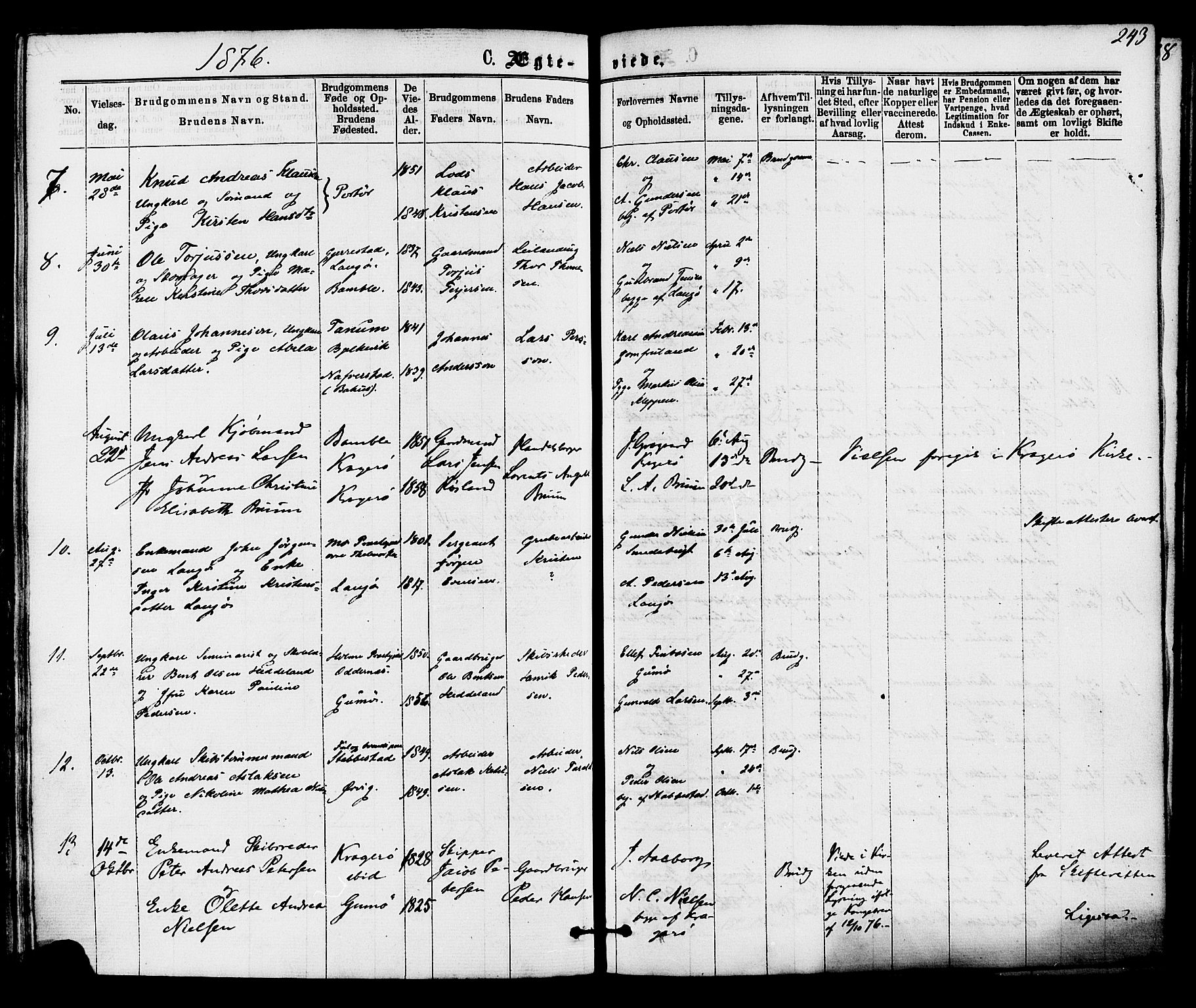 Skåtøy kirkebøker, AV/SAKO-A-304/F/Fa/L0001: Ministerialbok nr. I 1, 1874-1883, s. 243