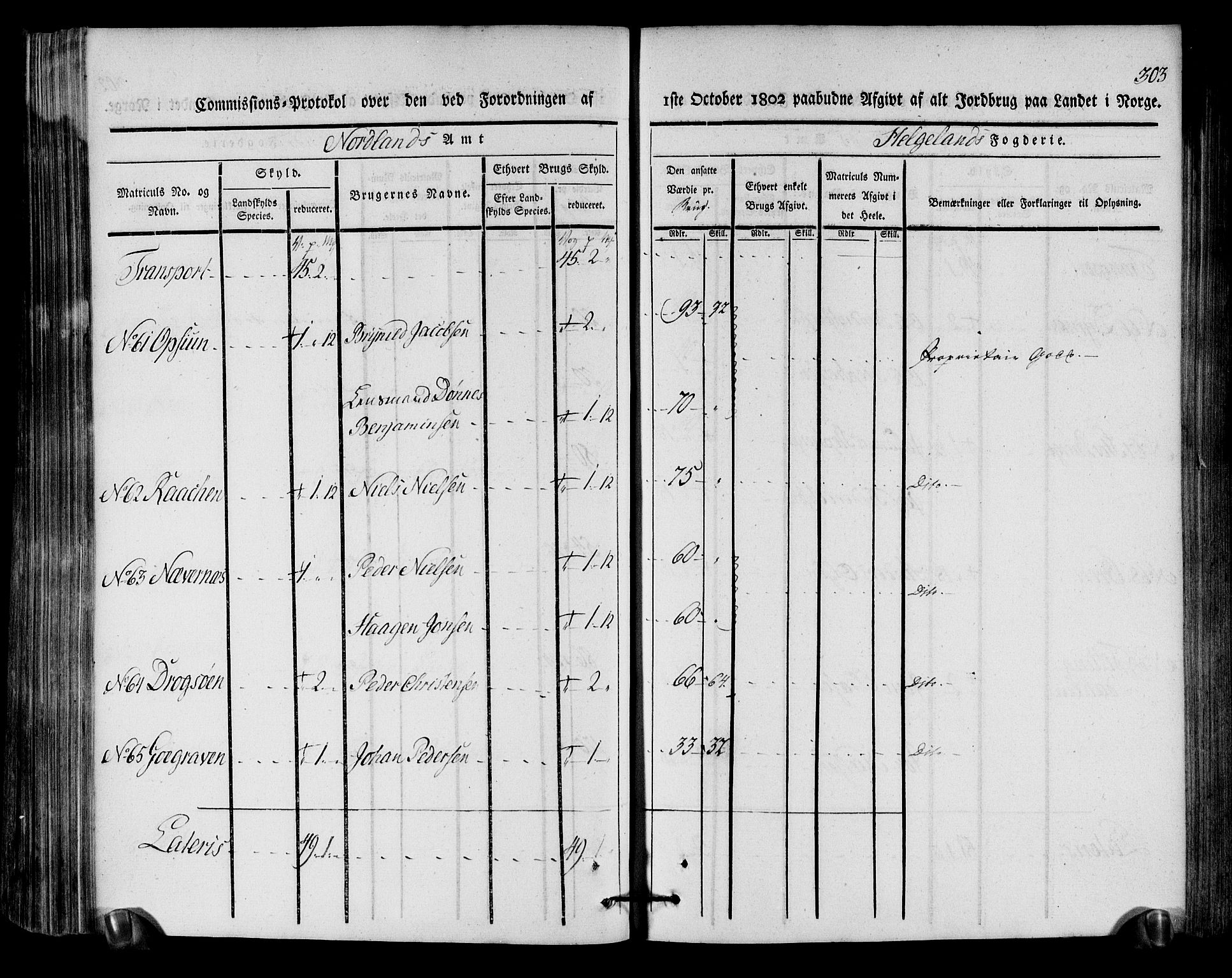 Rentekammeret inntil 1814, Realistisk ordnet avdeling, AV/RA-EA-4070/N/Ne/Nea/L0157: Helgeland fogderi. Kommisjonsprotokoll, 1803, s. 302