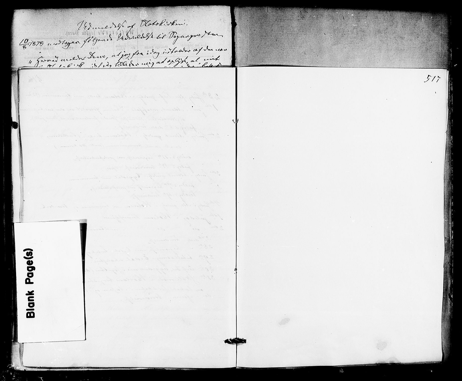 Sigdal kirkebøker, AV/SAKO-A-245/F/Fa/L0010: Ministerialbok nr. I 10 /1, 1872-1878, s. 517