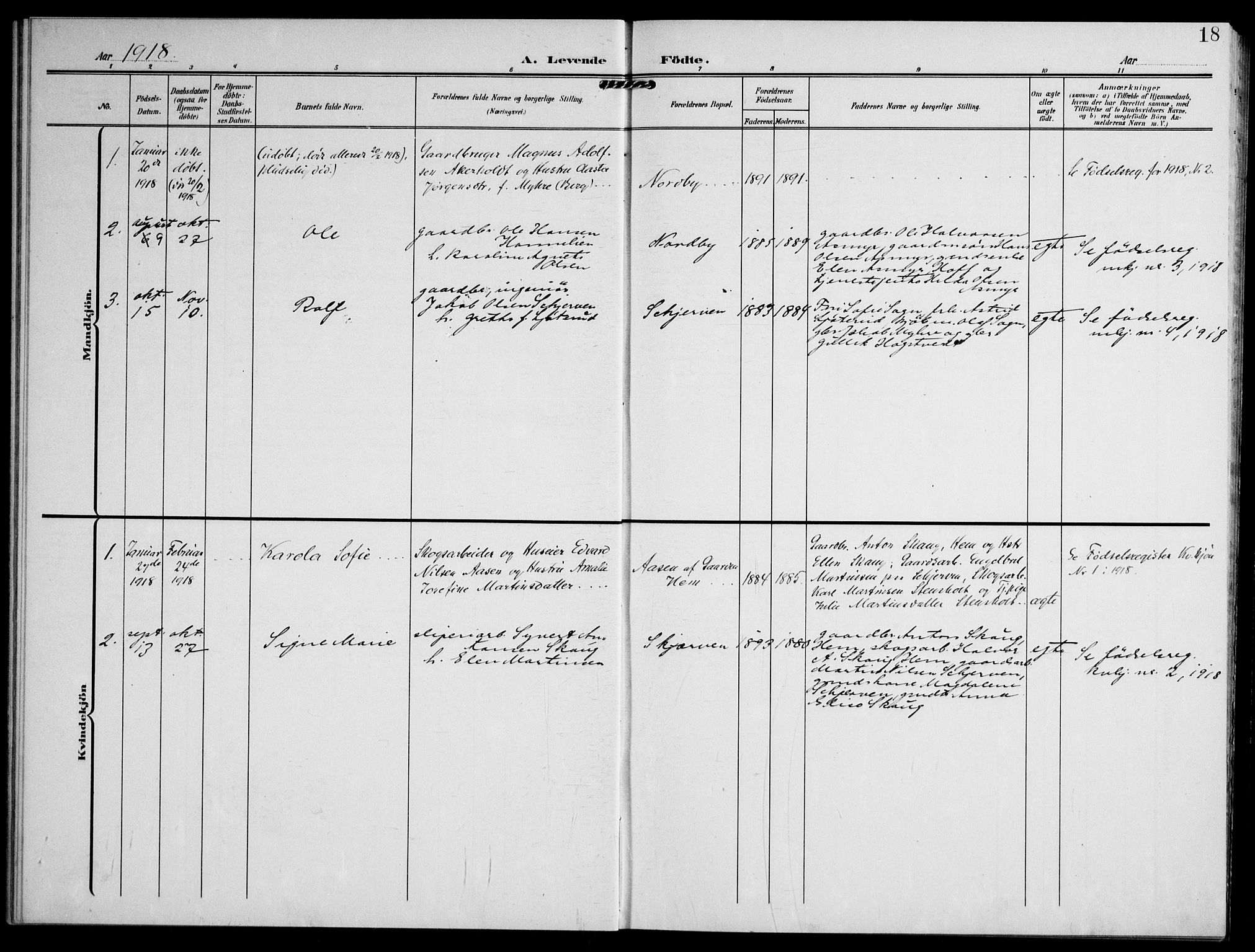 Lardal kirkebøker, AV/SAKO-A-350/F/Fc/L0002: Ministerialbok nr. III 2, 1907-1921, s. 18