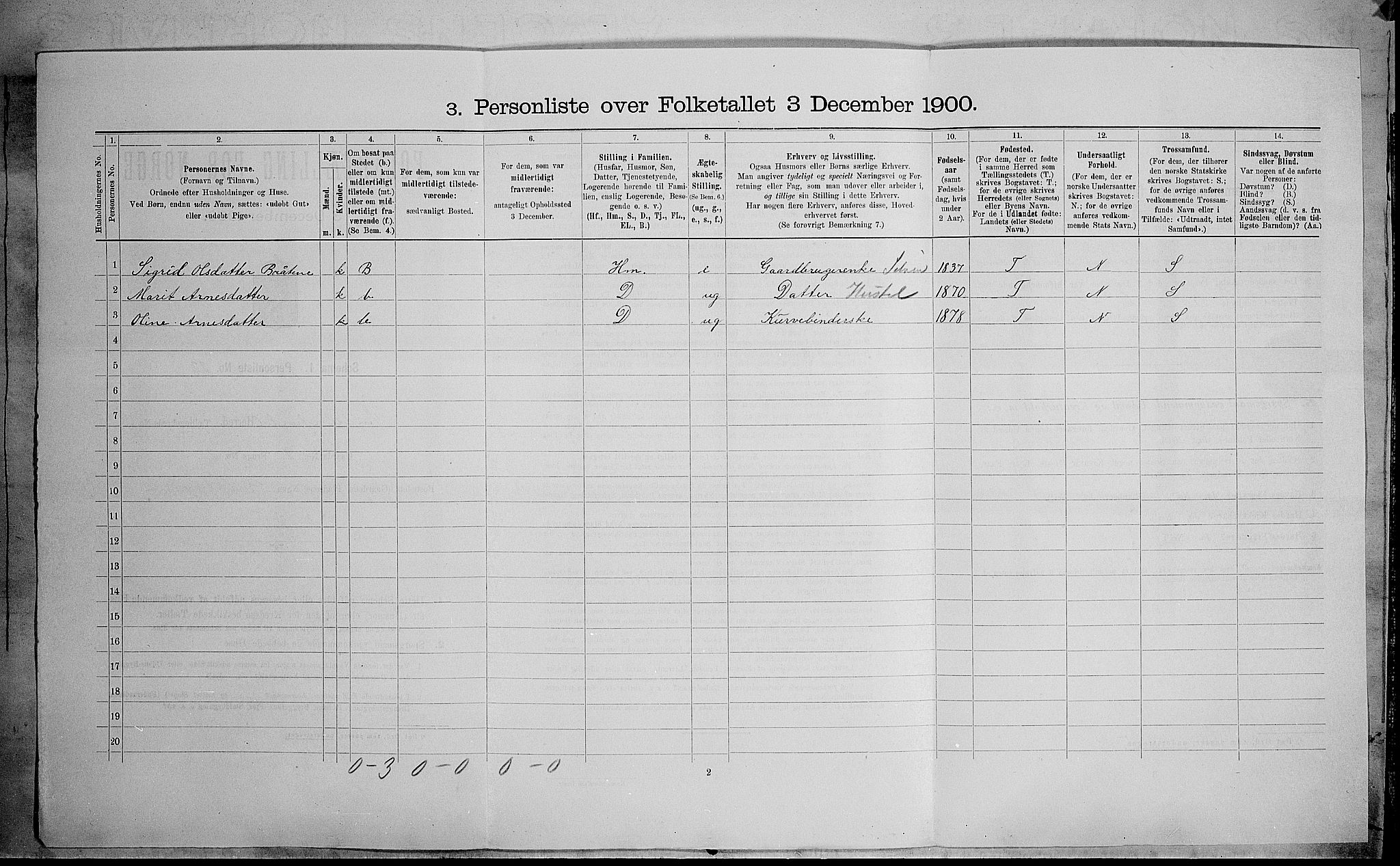 SAH, Folketelling 1900 for 0540 Sør-Aurdal herred, 1900, s. 199