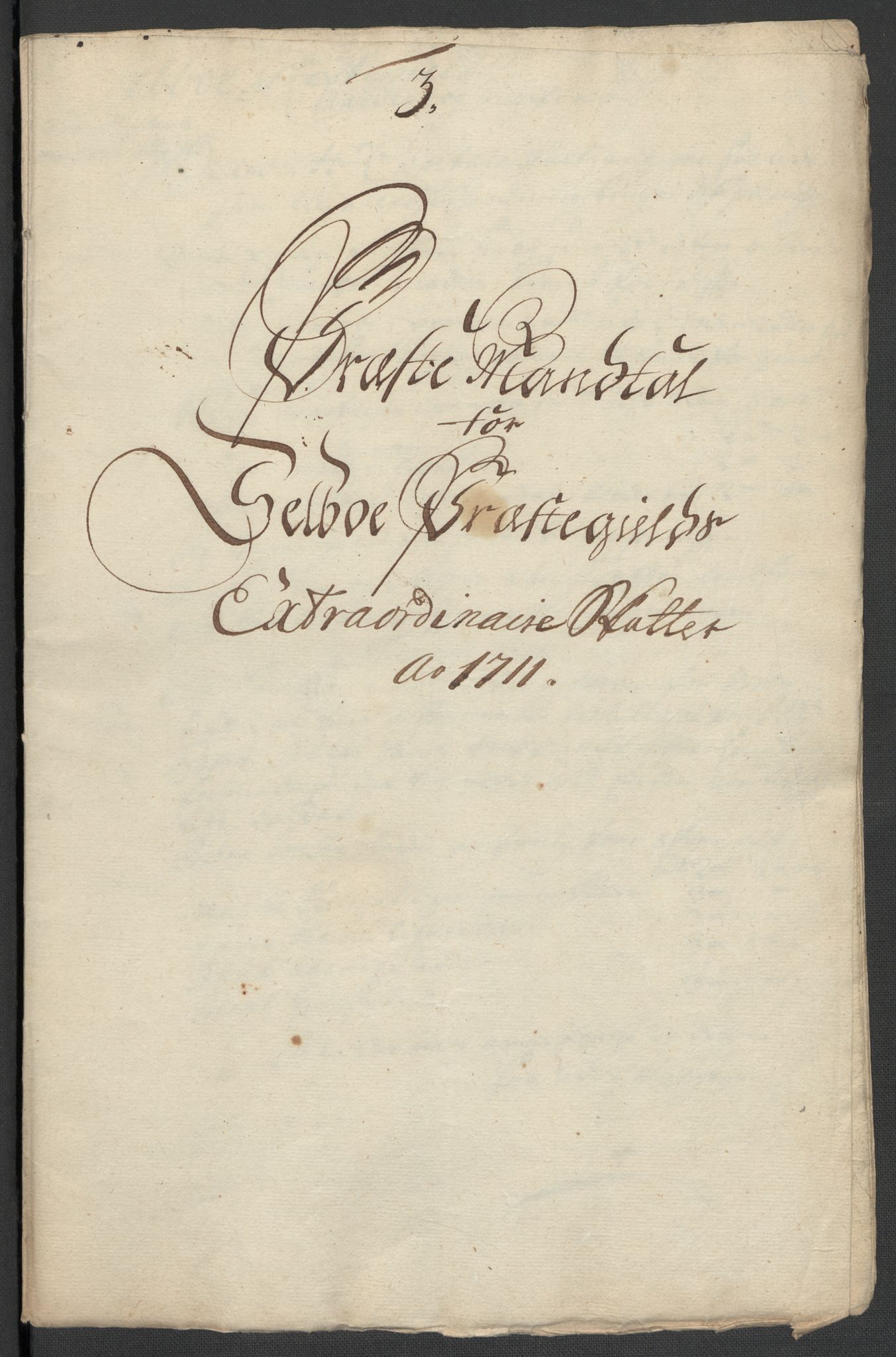 Rentekammeret inntil 1814, Reviderte regnskaper, Fogderegnskap, RA/EA-4092/R61/L4112: Fogderegnskap Strinda og Selbu, 1711, s. 335