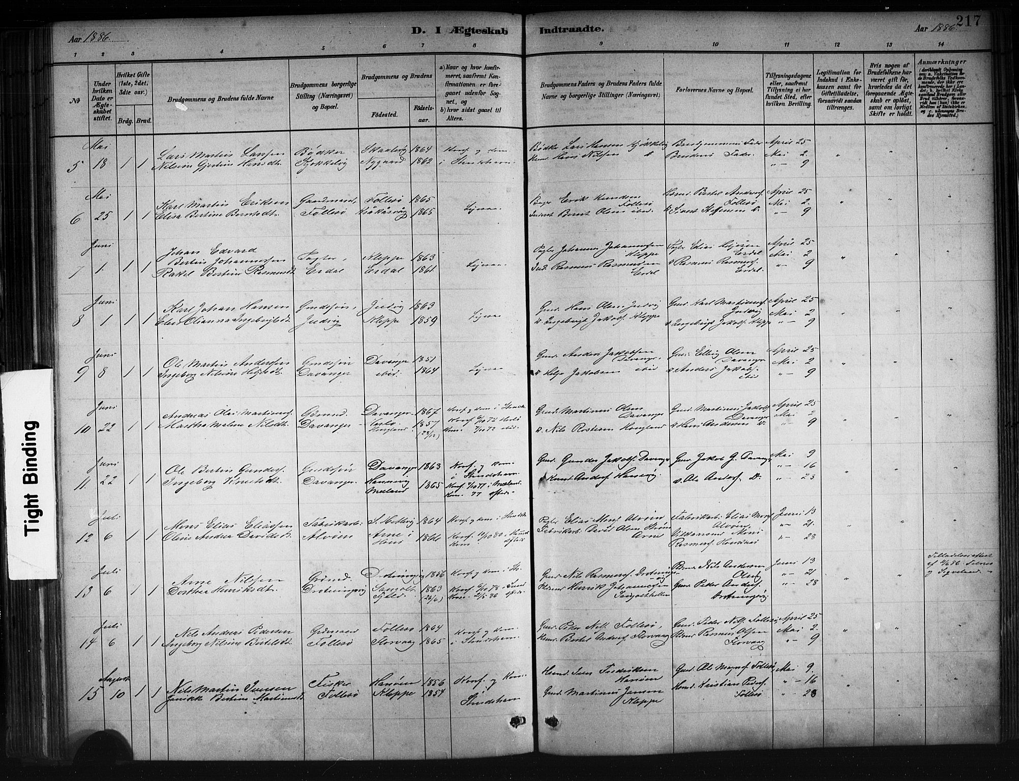 Askøy Sokneprestembete, AV/SAB-A-74101/H/Ha/Hab/Haba/L0008: Klokkerbok nr. A 8, 1882-1893, s. 217