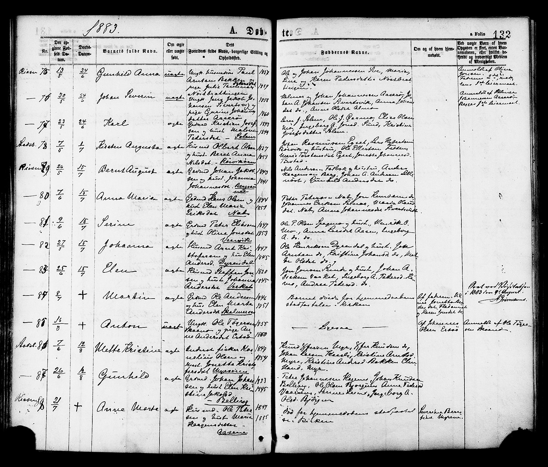 Ministerialprotokoller, klokkerbøker og fødselsregistre - Sør-Trøndelag, AV/SAT-A-1456/646/L0613: Ministerialbok nr. 646A11, 1870-1884, s. 132