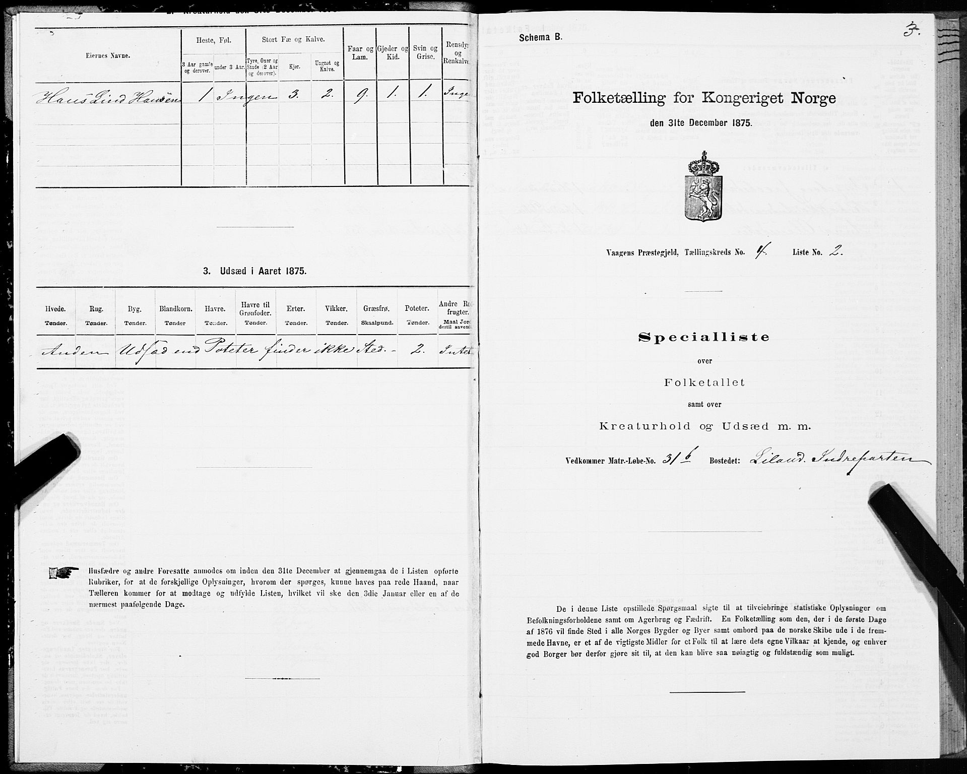 SAT, Folketelling 1875 for 1865P Vågan prestegjeld, 1875, s. 3003