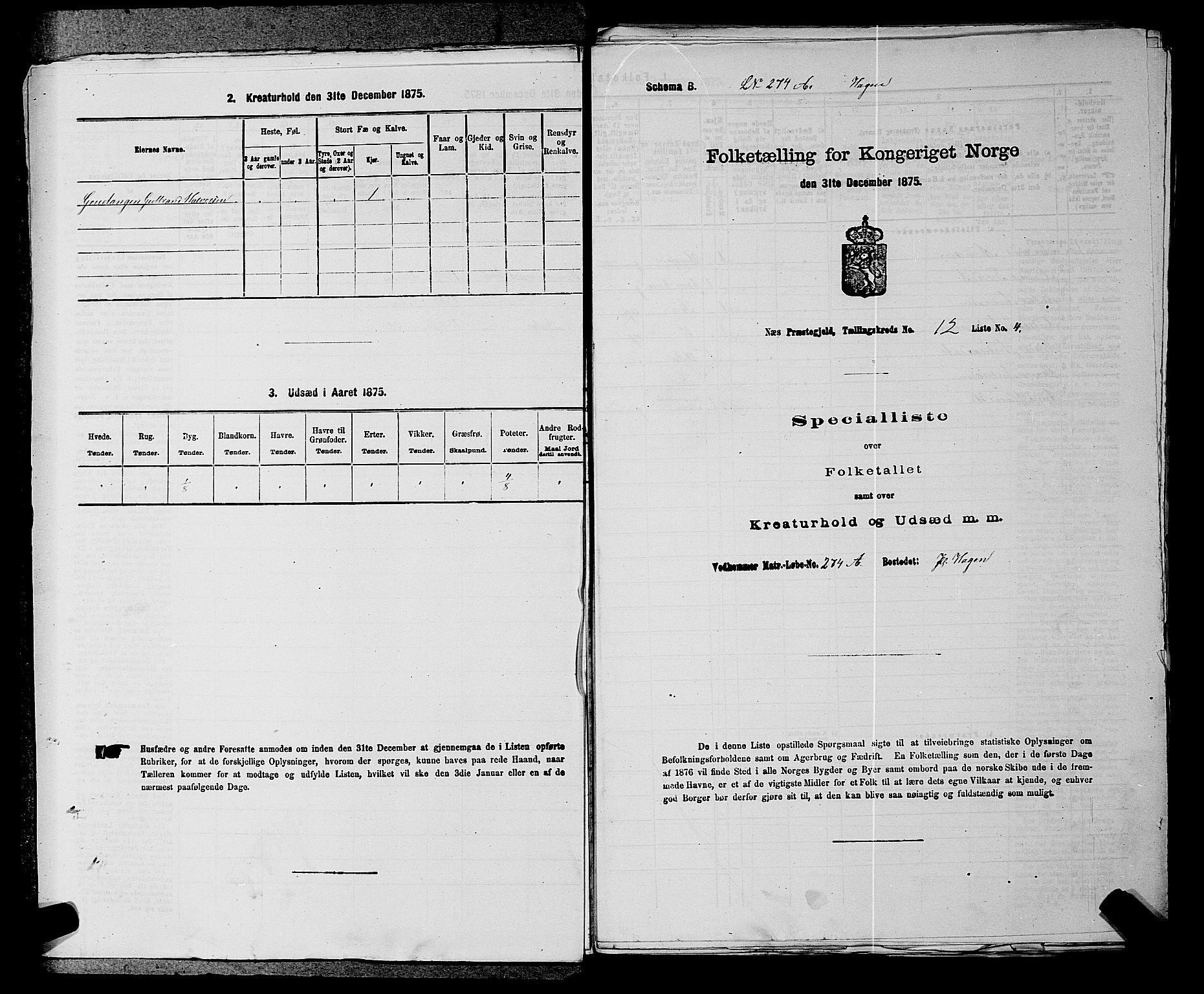 RA, Folketelling 1875 for 0236P Nes prestegjeld, 1875, s. 2043