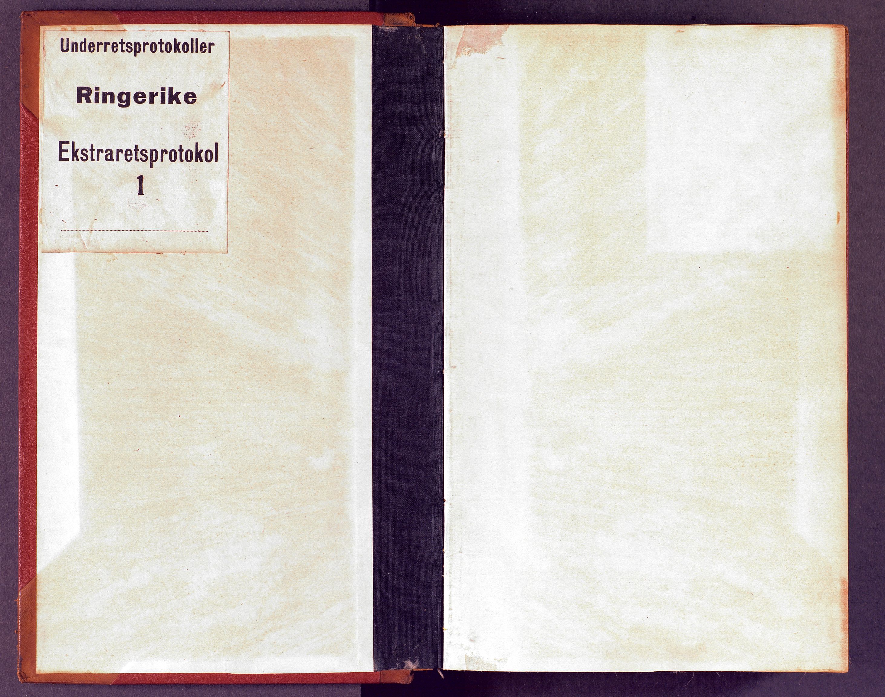 Ringerike sorenskriveri, SAKO/A-105/F/Fc/Fca/L0001: Ekstrarettsprotokoll, 1820-1825