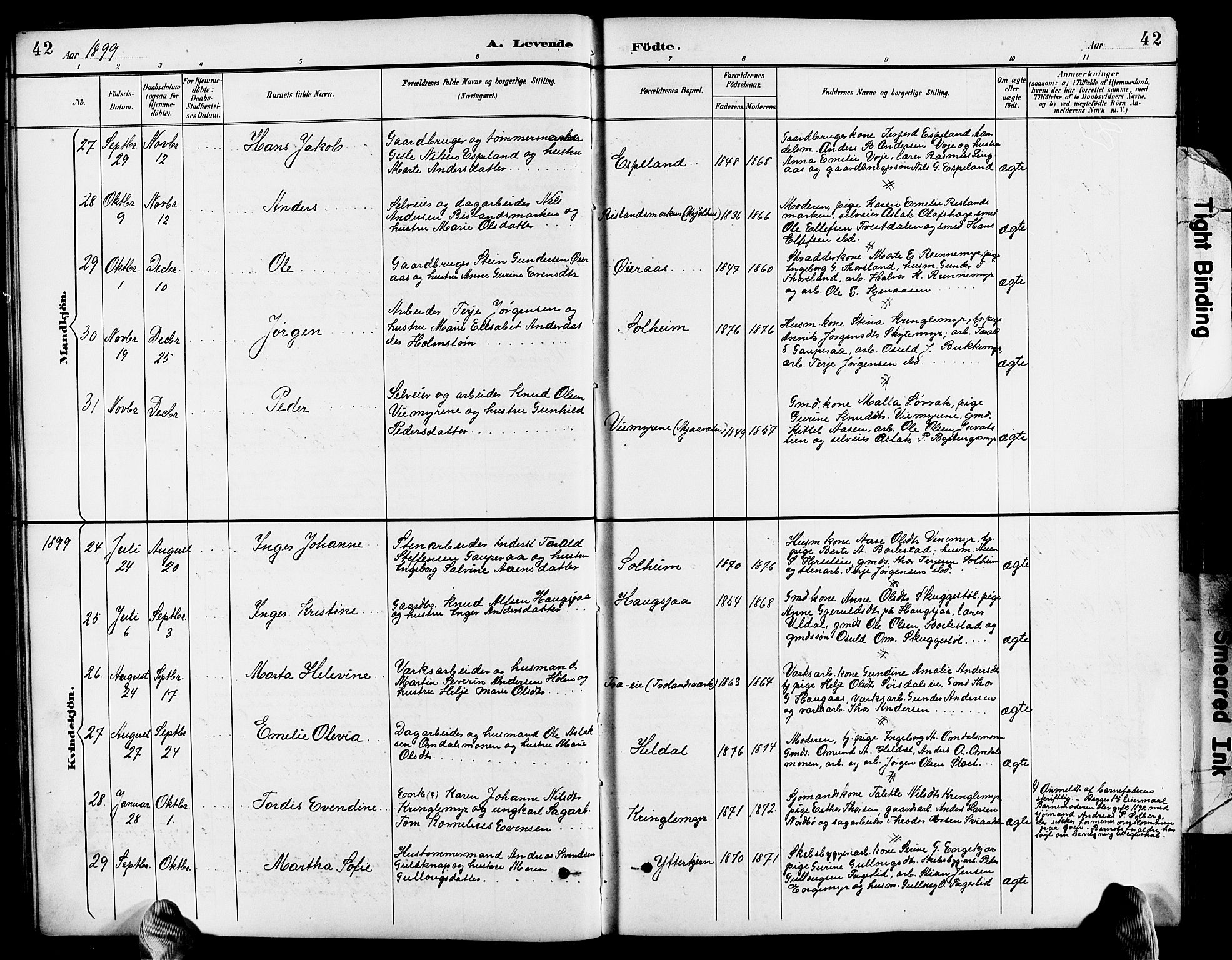 Froland sokneprestkontor, AV/SAK-1111-0013/F/Fb/L0010: Klokkerbok nr. B 10, 1893-1920, s. 42