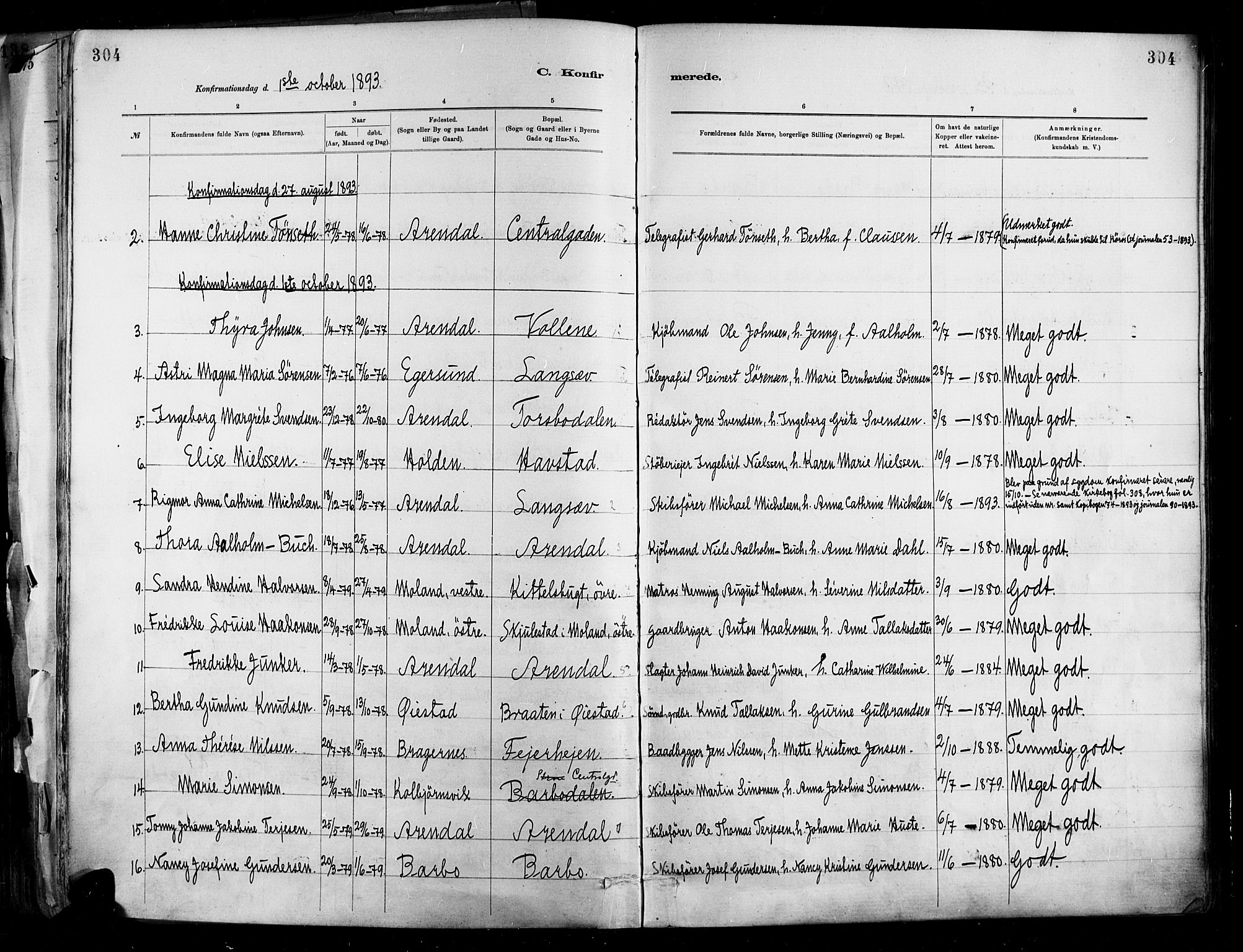 Barbu sokneprestkontor, AV/SAK-1111-0003/F/Fa/L0002: Ministerialbok nr. A 2, 1883-1898, s. 304