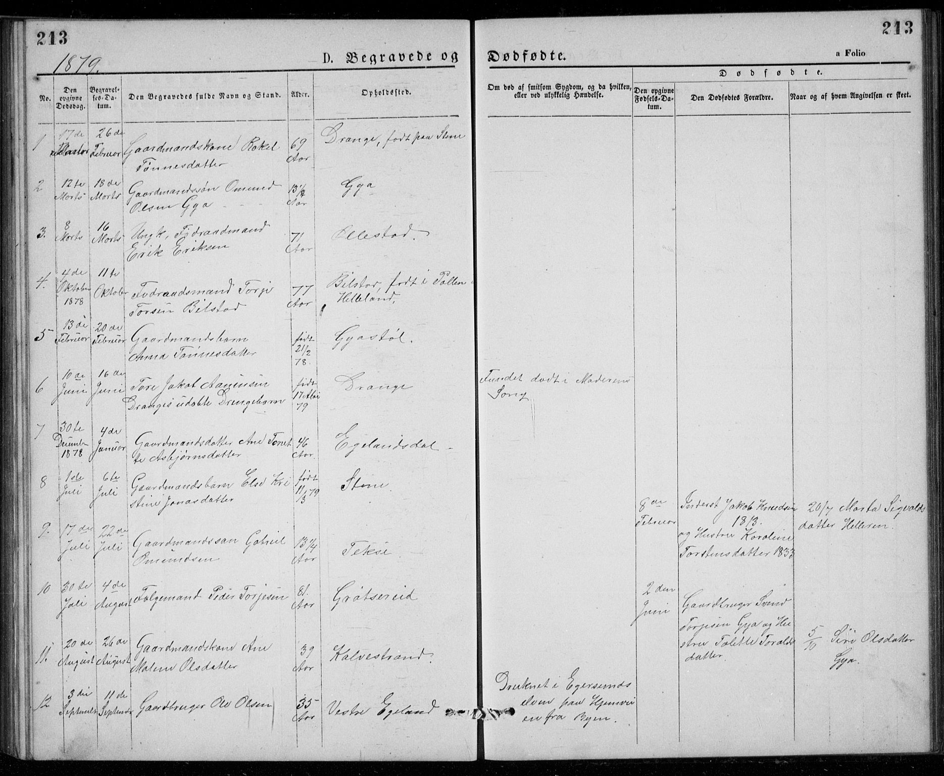 Lund sokneprestkontor, SAST/A-101809/S07/L0005: Klokkerbok nr. B 5, 1875-1889, s. 213