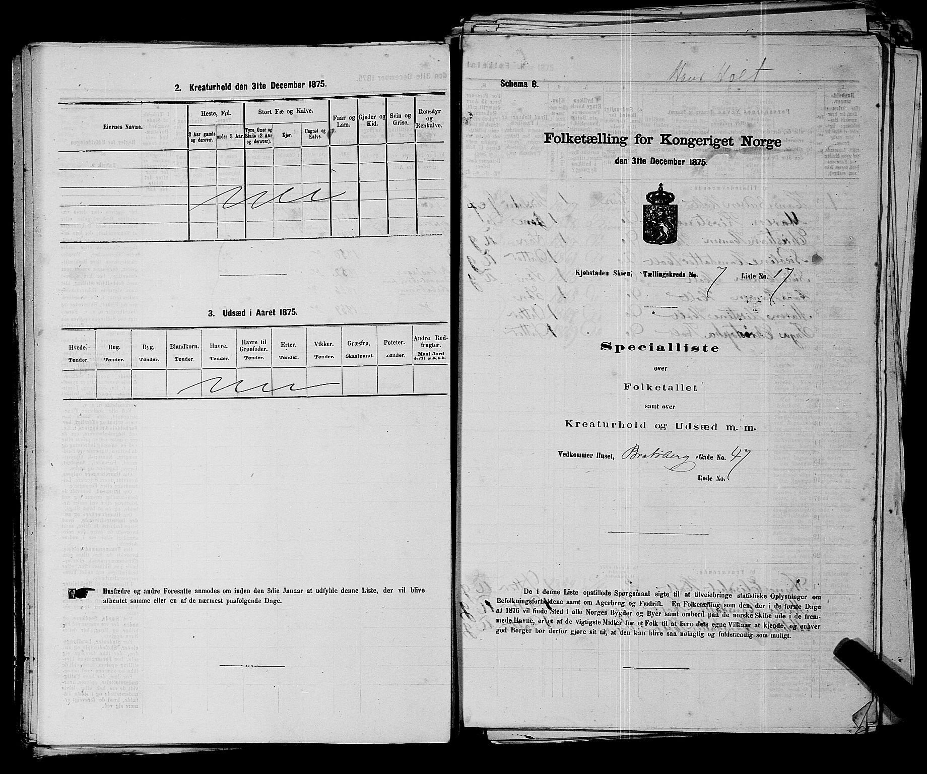 SAKO, Folketelling 1875 for 0806P Skien prestegjeld, 1875, s. 1075