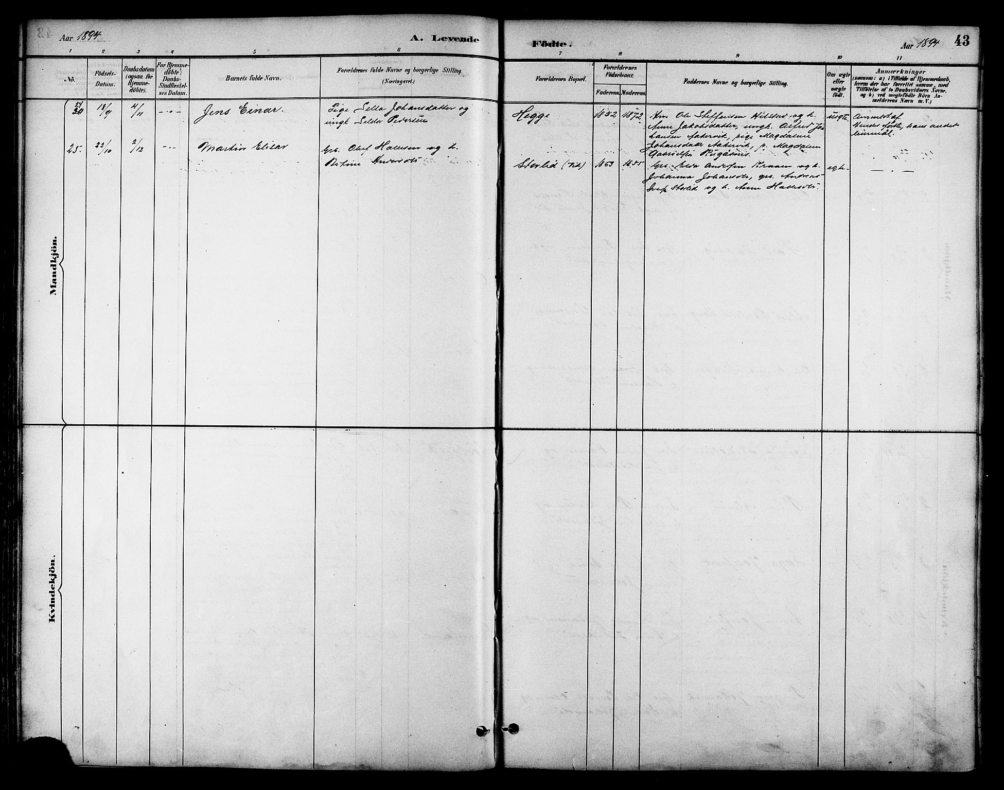 Ministerialprotokoller, klokkerbøker og fødselsregistre - Nordland, AV/SAT-A-1459/814/L0230: Klokkerbok nr. 814C03, 1884-1911, s. 43