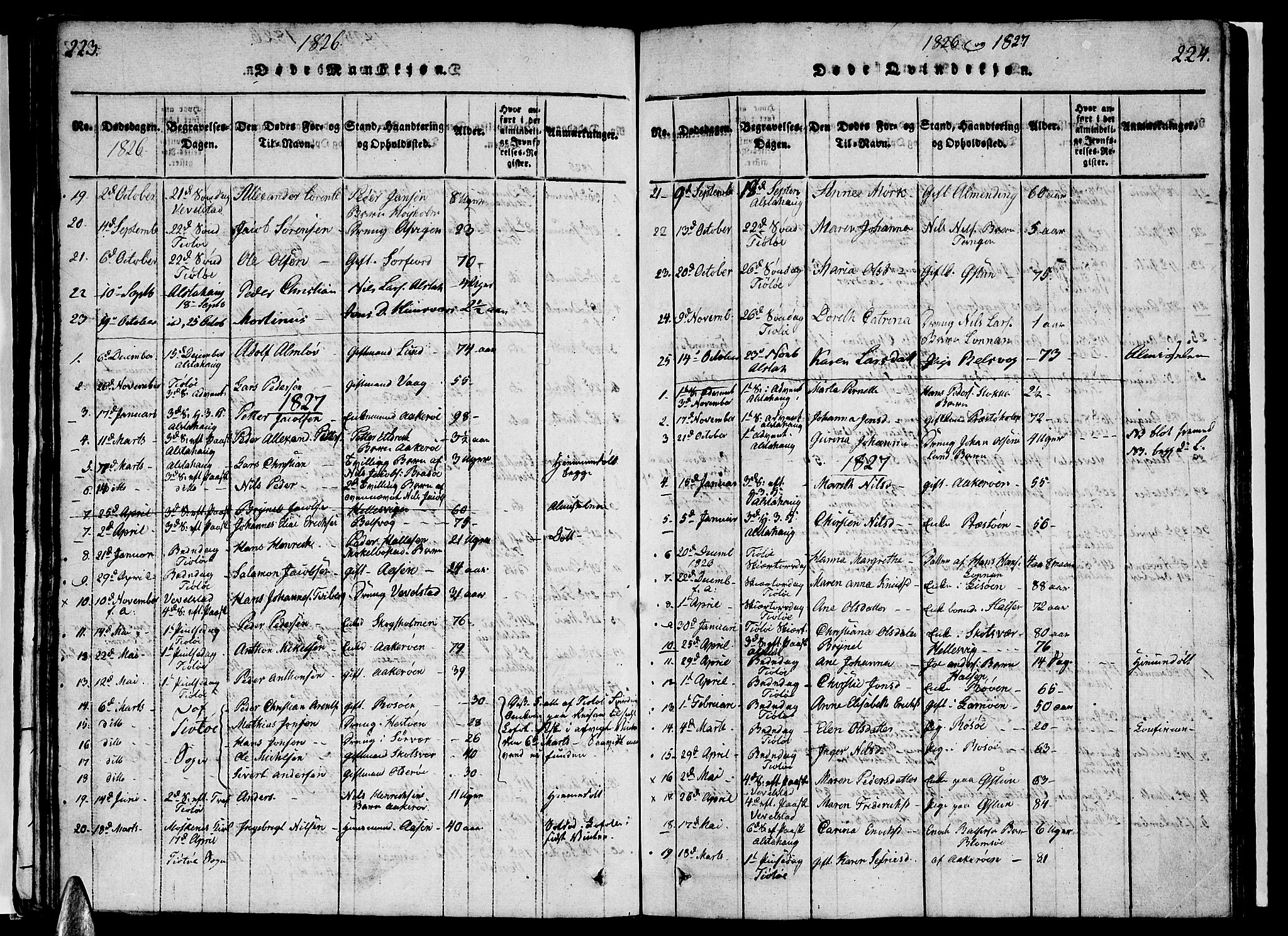 Ministerialprotokoller, klokkerbøker og fødselsregistre - Nordland, AV/SAT-A-1459/830/L0457: Klokkerbok nr. 830C01 /1, 1820-1842, s. 223-224