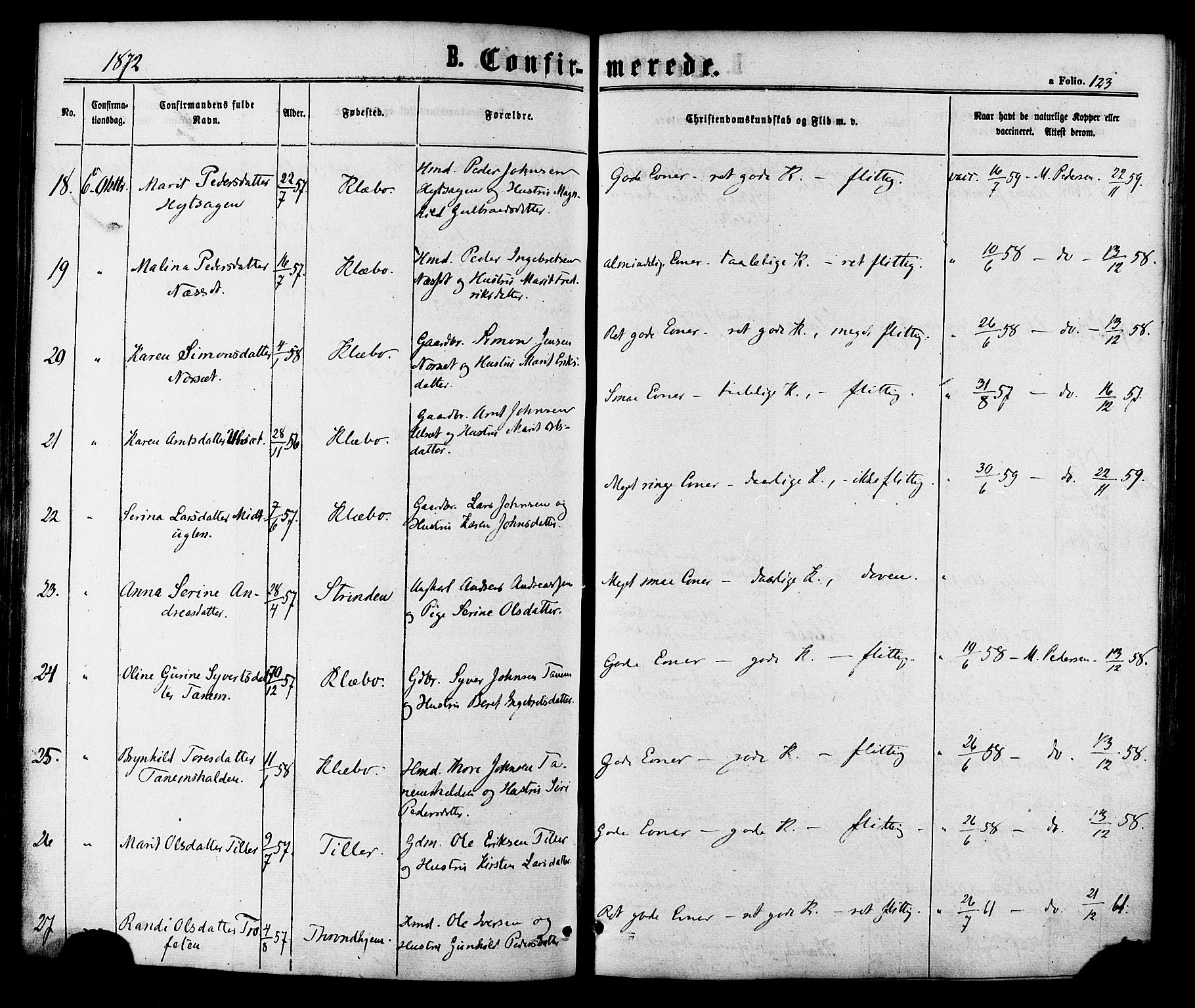 Ministerialprotokoller, klokkerbøker og fødselsregistre - Sør-Trøndelag, AV/SAT-A-1456/618/L0442: Ministerialbok nr. 618A06 /1, 1863-1879, s. 123