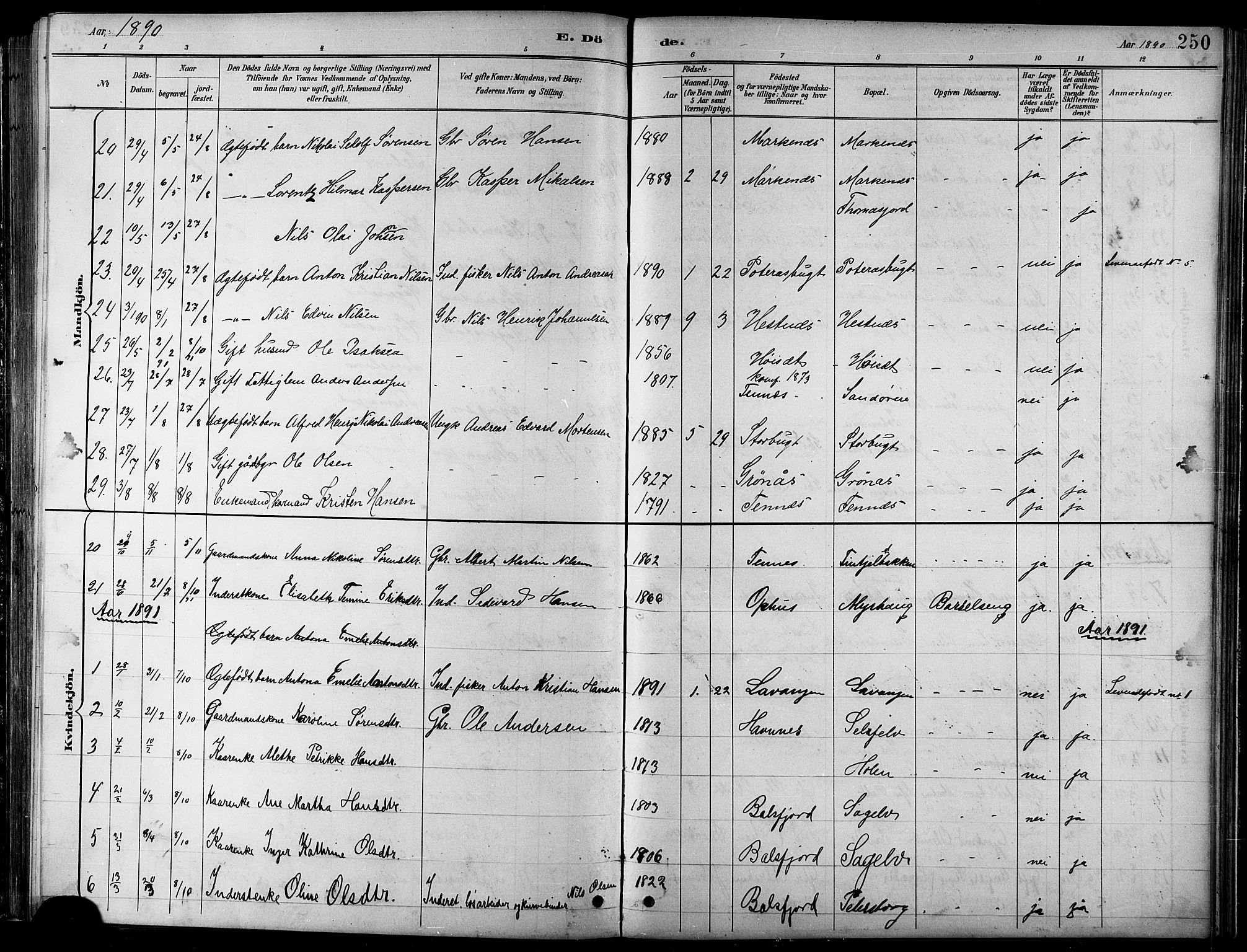 Balsfjord sokneprestembete, AV/SATØ-S-1303/G/Gab/L0008klokker: Klokkerbok nr. 8, 1890-1906, s. 250