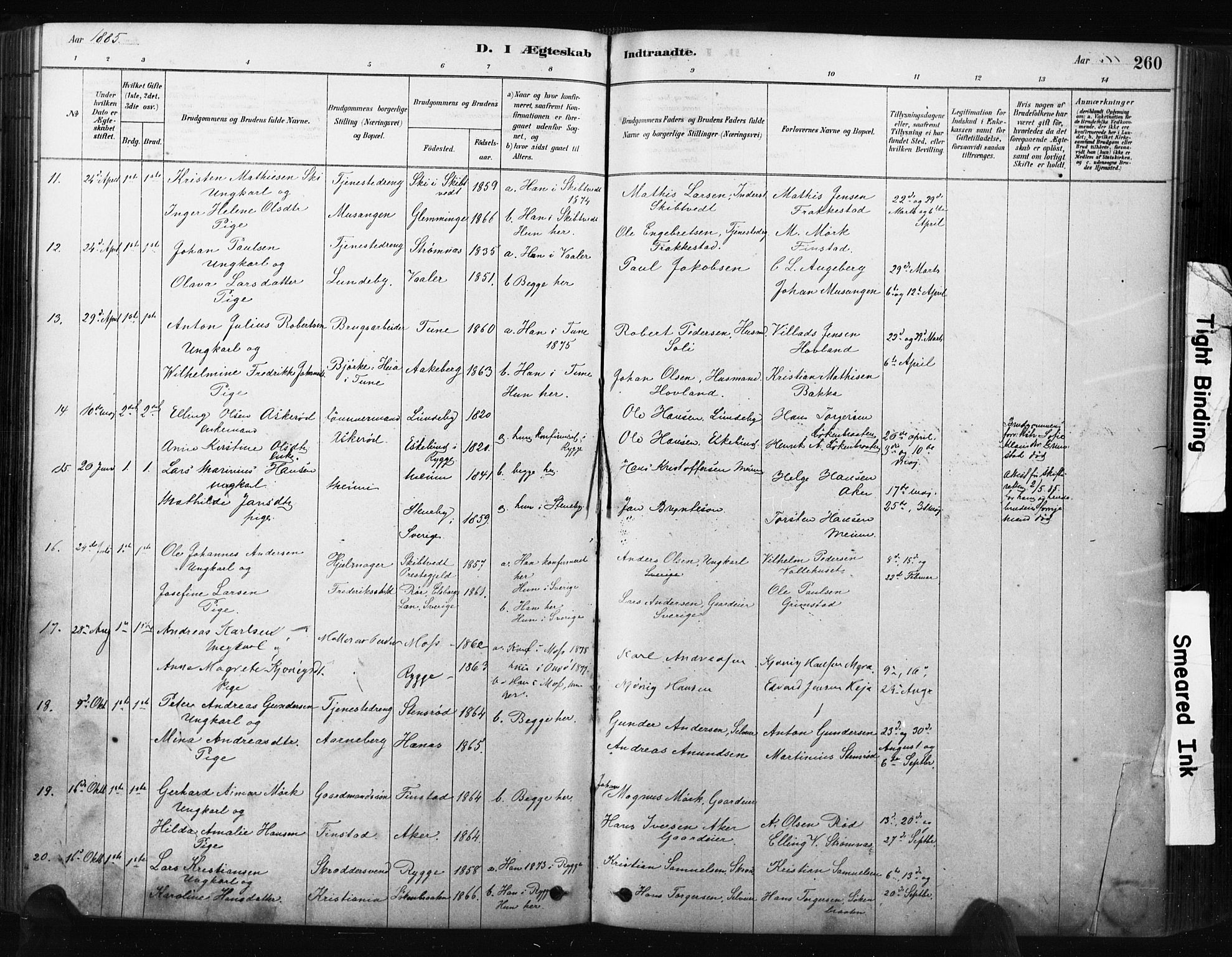 Råde prestekontor kirkebøker, AV/SAO-A-2009/F/Fa/L0007: Ministerialbok nr. 7, 1878-1902, s. 260