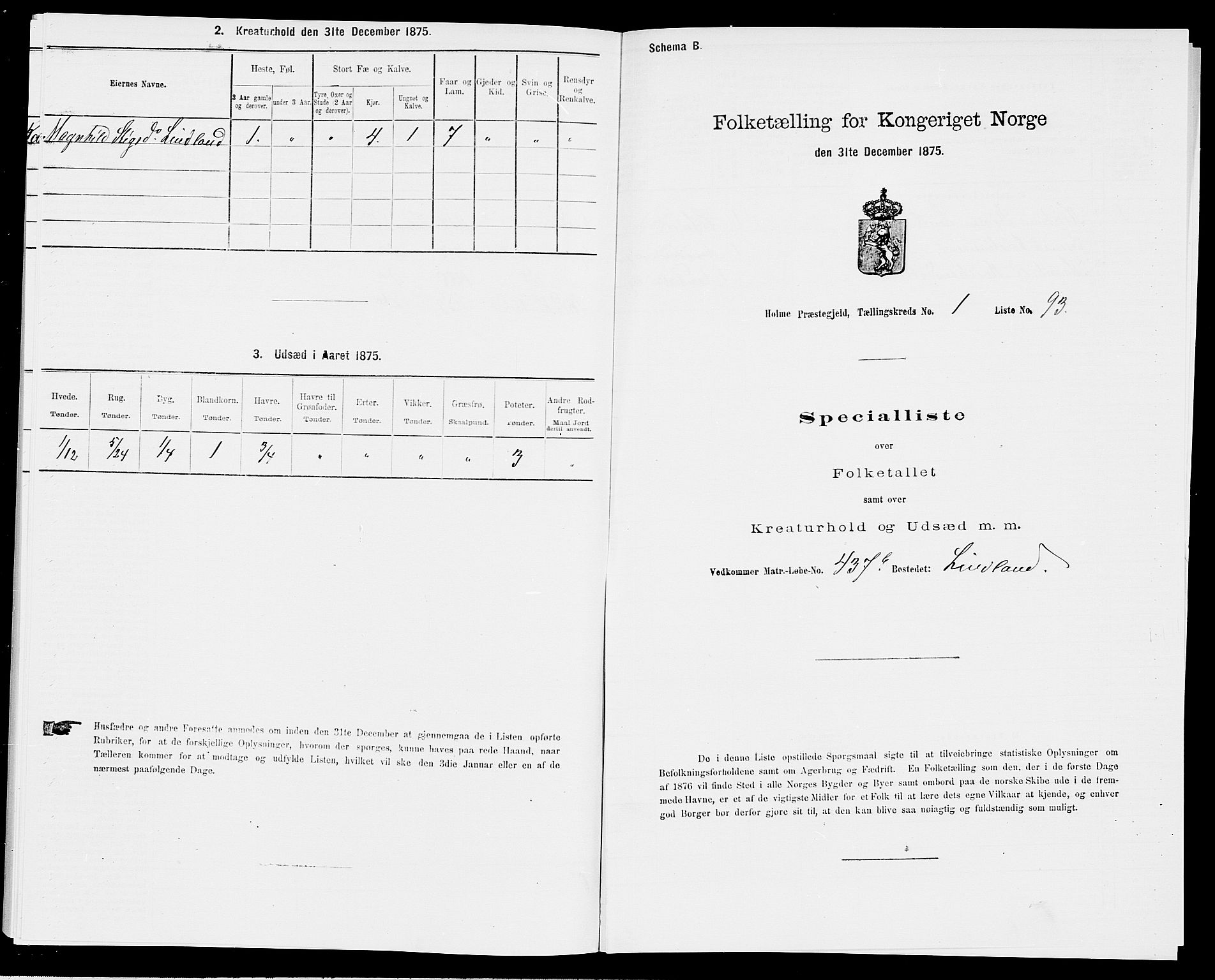 SAK, Folketelling 1875 for 1020P Holum prestegjeld, 1875, s. 236