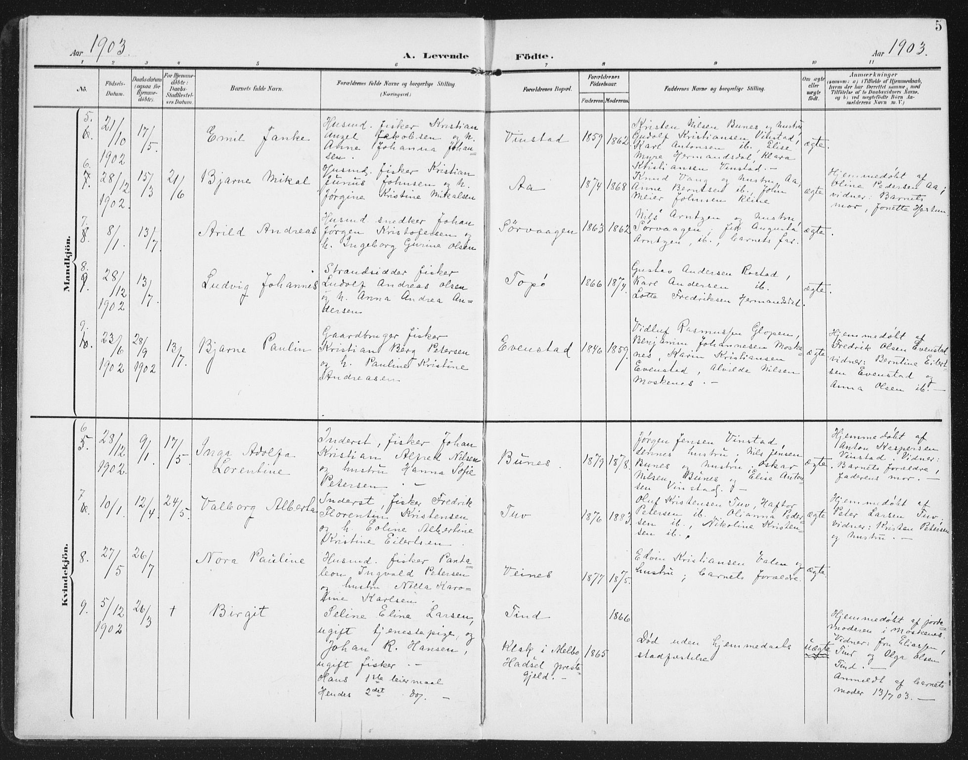 Ministerialprotokoller, klokkerbøker og fødselsregistre - Nordland, AV/SAT-A-1459/886/L1221: Ministerialbok nr. 886A03, 1903-1913, s. 5