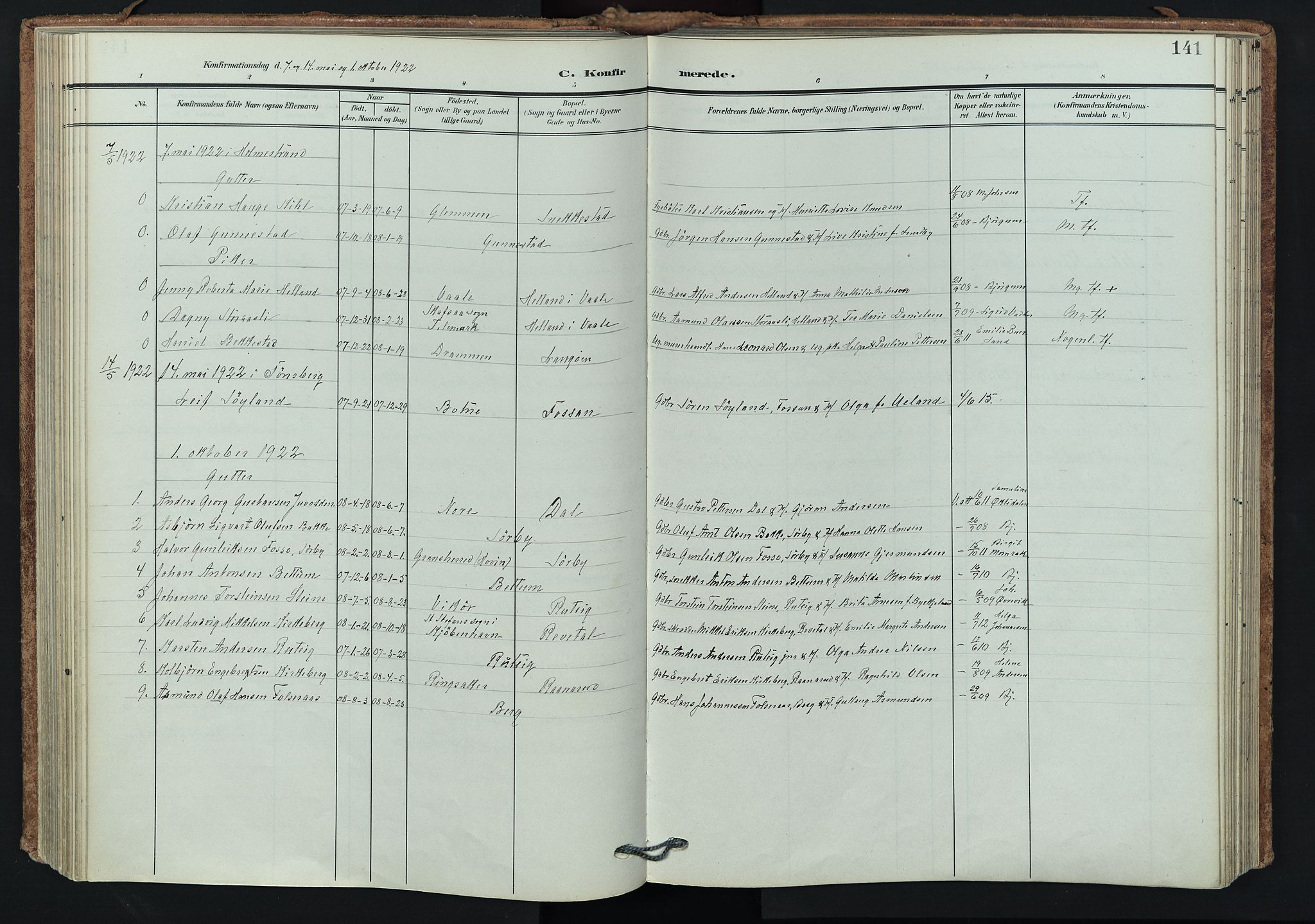 Våle kirkebøker, AV/SAKO-A-334/F/Fa/L0012: Ministerialbok nr. I 12, 1907-1934, s. 141