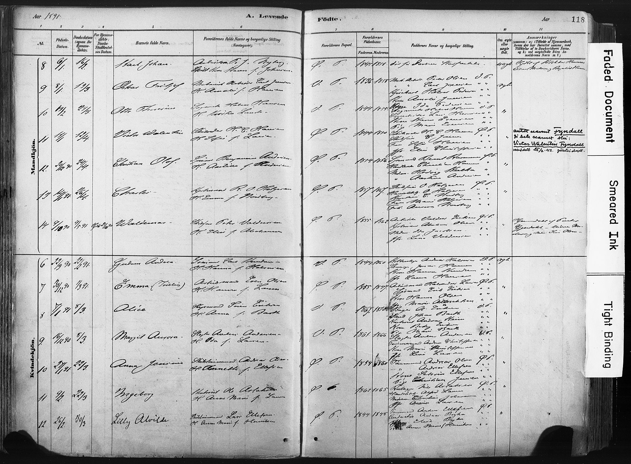 Porsgrunn kirkebøker , AV/SAKO-A-104/F/Fa/L0008: Ministerialbok nr. 8, 1878-1895, s. 118