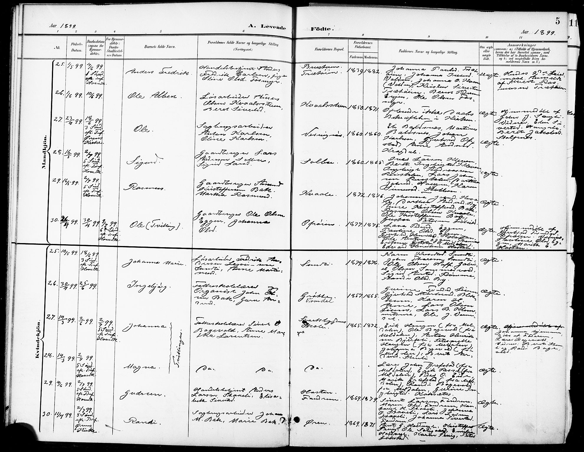 Ministerialprotokoller, klokkerbøker og fødselsregistre - Sør-Trøndelag, AV/SAT-A-1456/668/L0819: Klokkerbok nr. 668C08, 1899-1912, s. 5