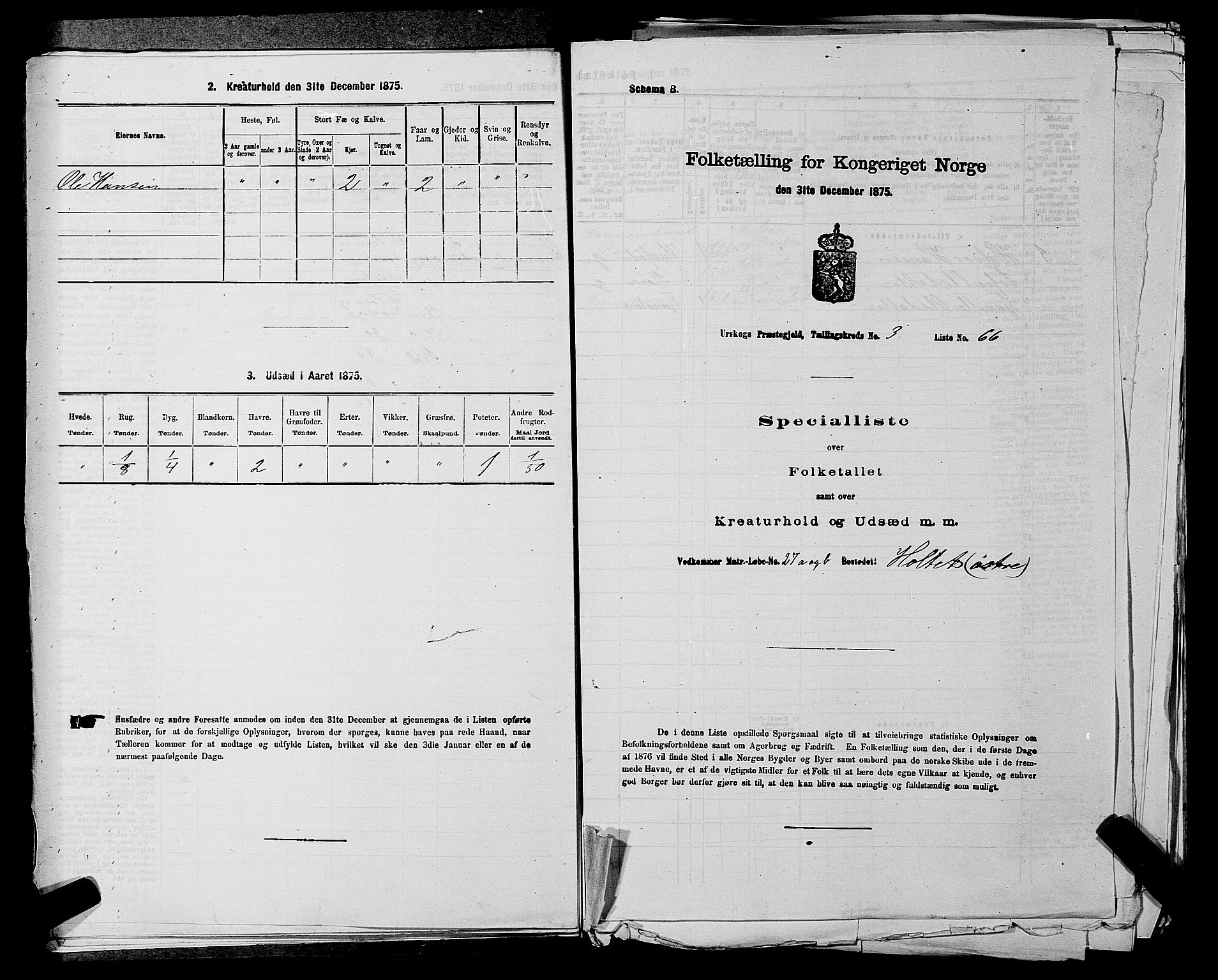 RA, Folketelling 1875 for 0224P Aurskog prestegjeld, 1875, s. 411